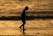 a person walking on a beach near the ocean