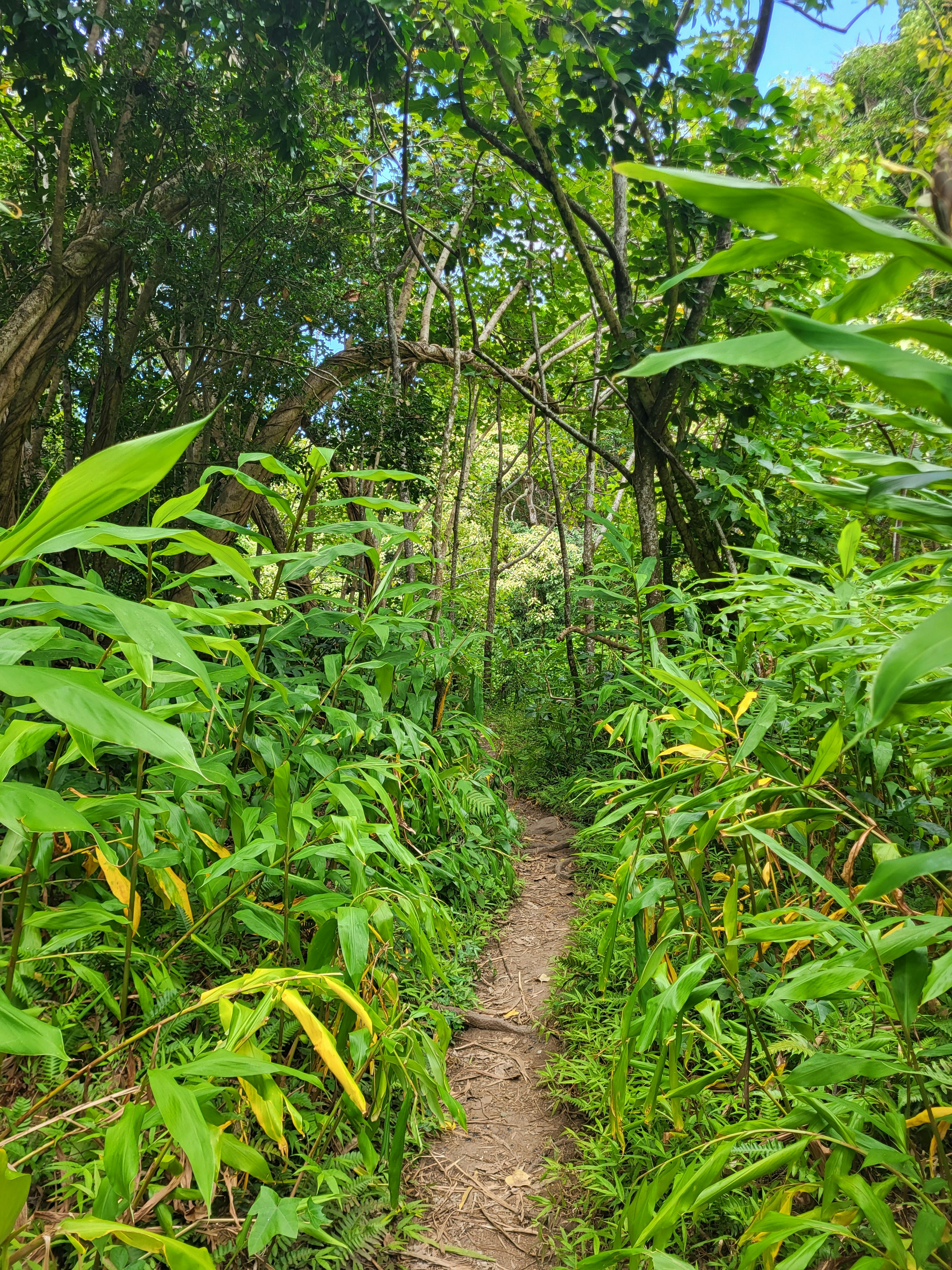 Photo by naturechannel