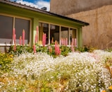 a green house with flowers in front of it