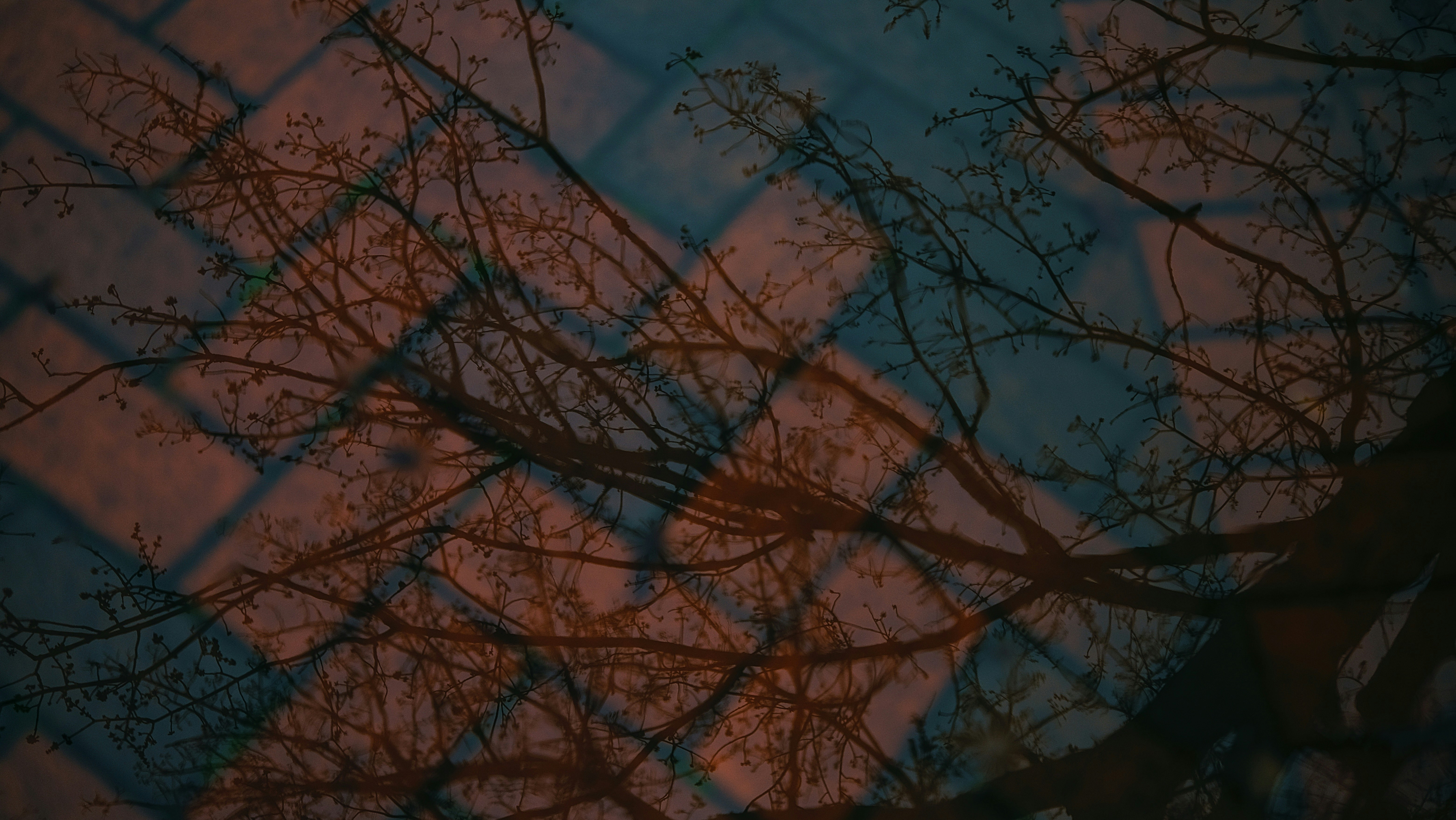 Photo by leiadakrozjhen