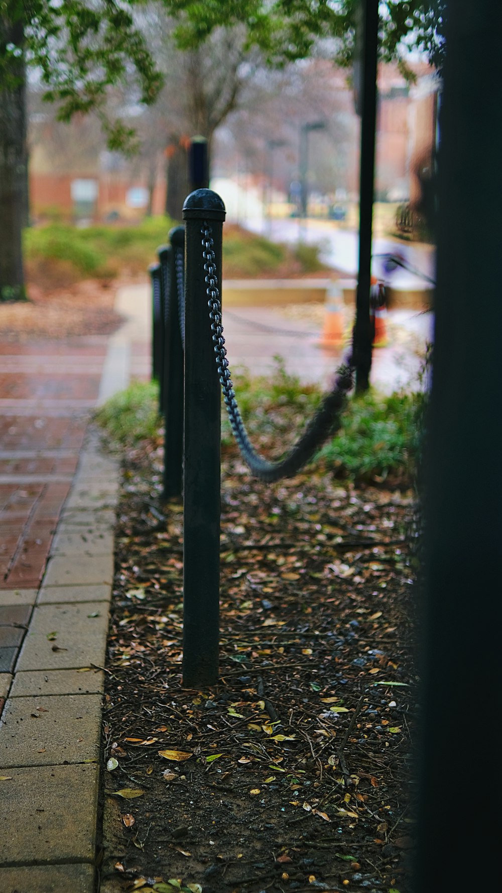 a telephone pole on a sidewalk next to a tree