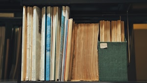 A collection of books and magazines is aligned on a shelf. The grouping includes a worn and thick hardcover book, several thinner paperback magazines, and folders housed in a green fabric box, all organized in an orderly manner.