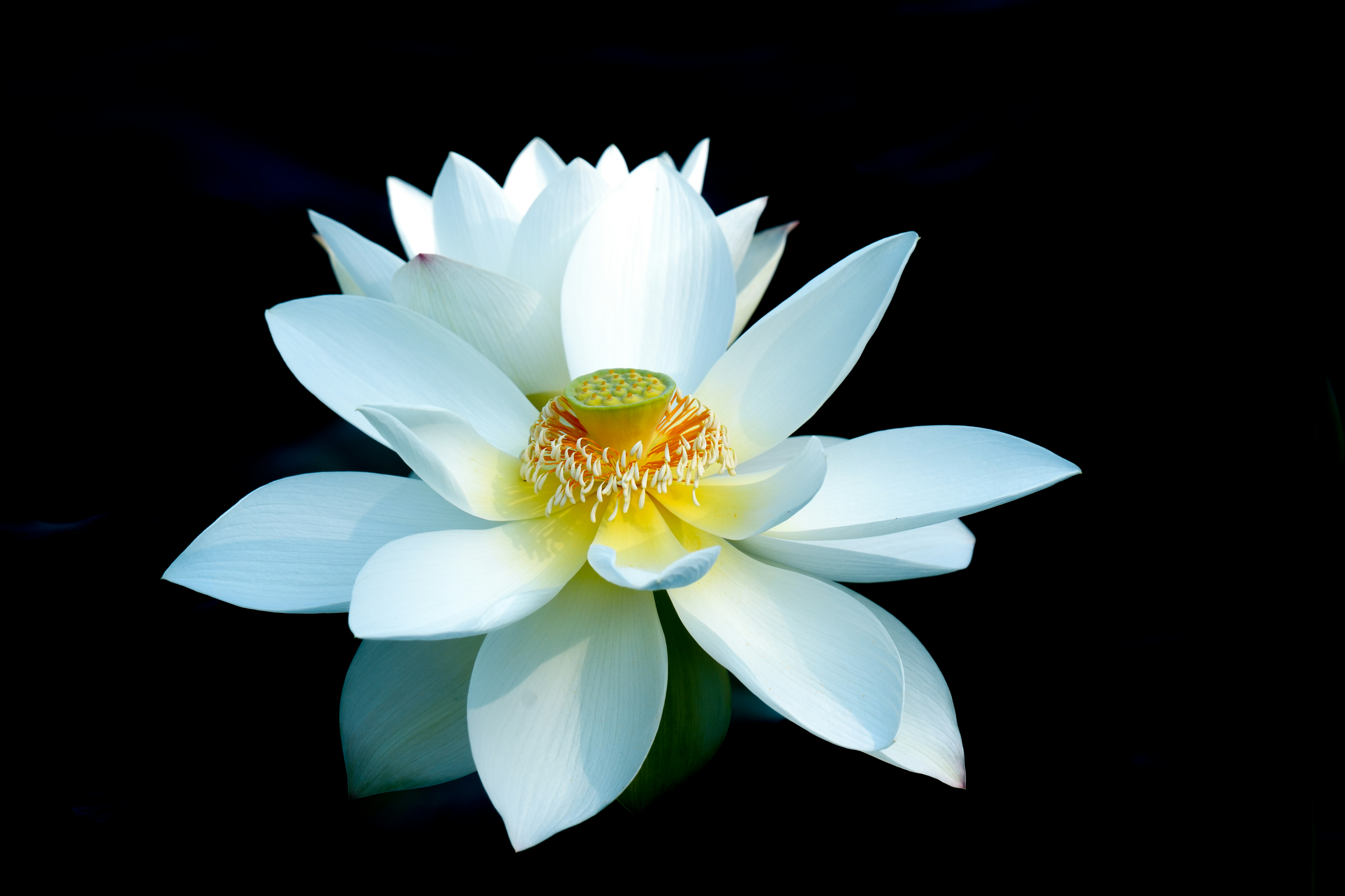 Photo by kim_dae_jeung