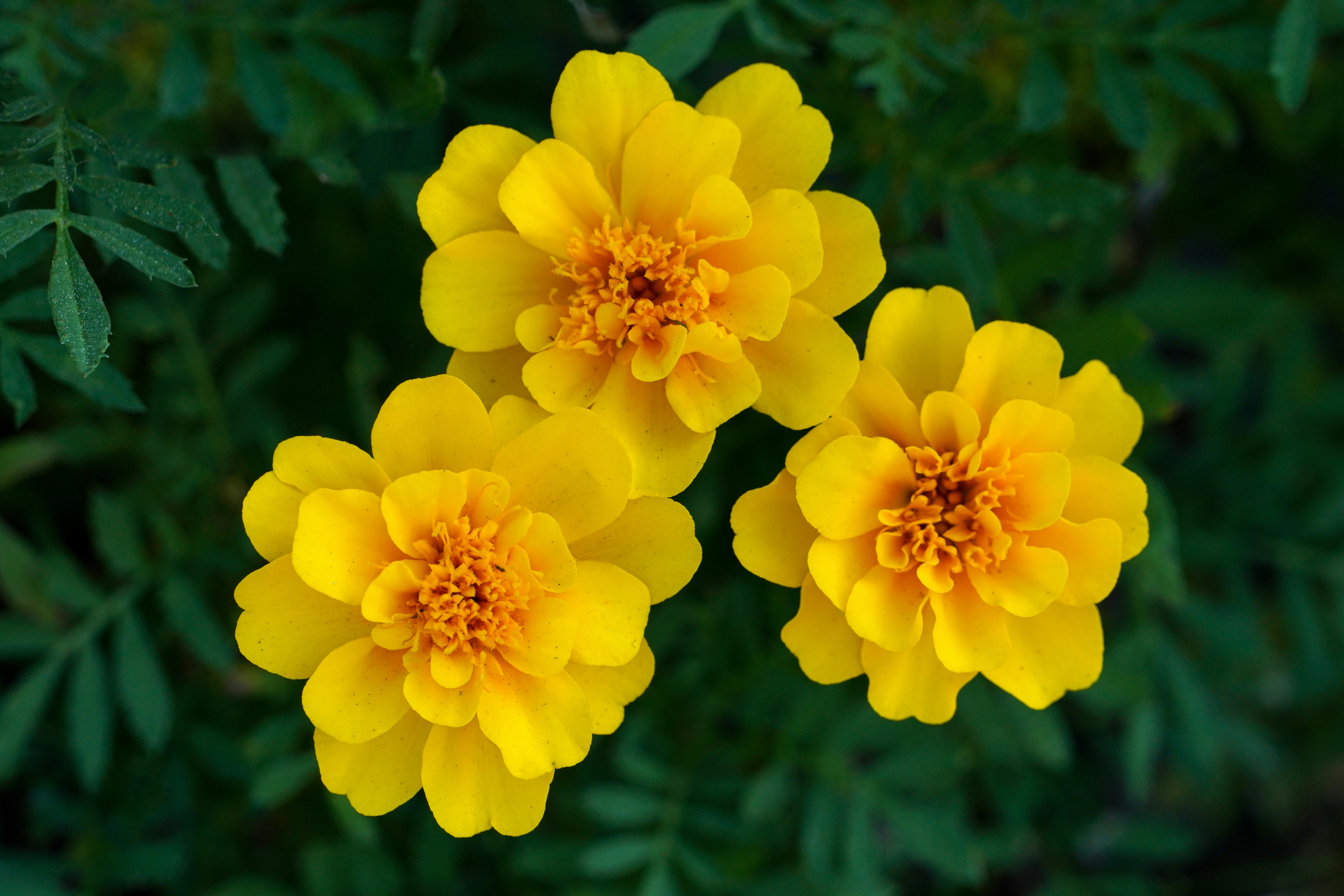 Photo by kim_dae_jeung