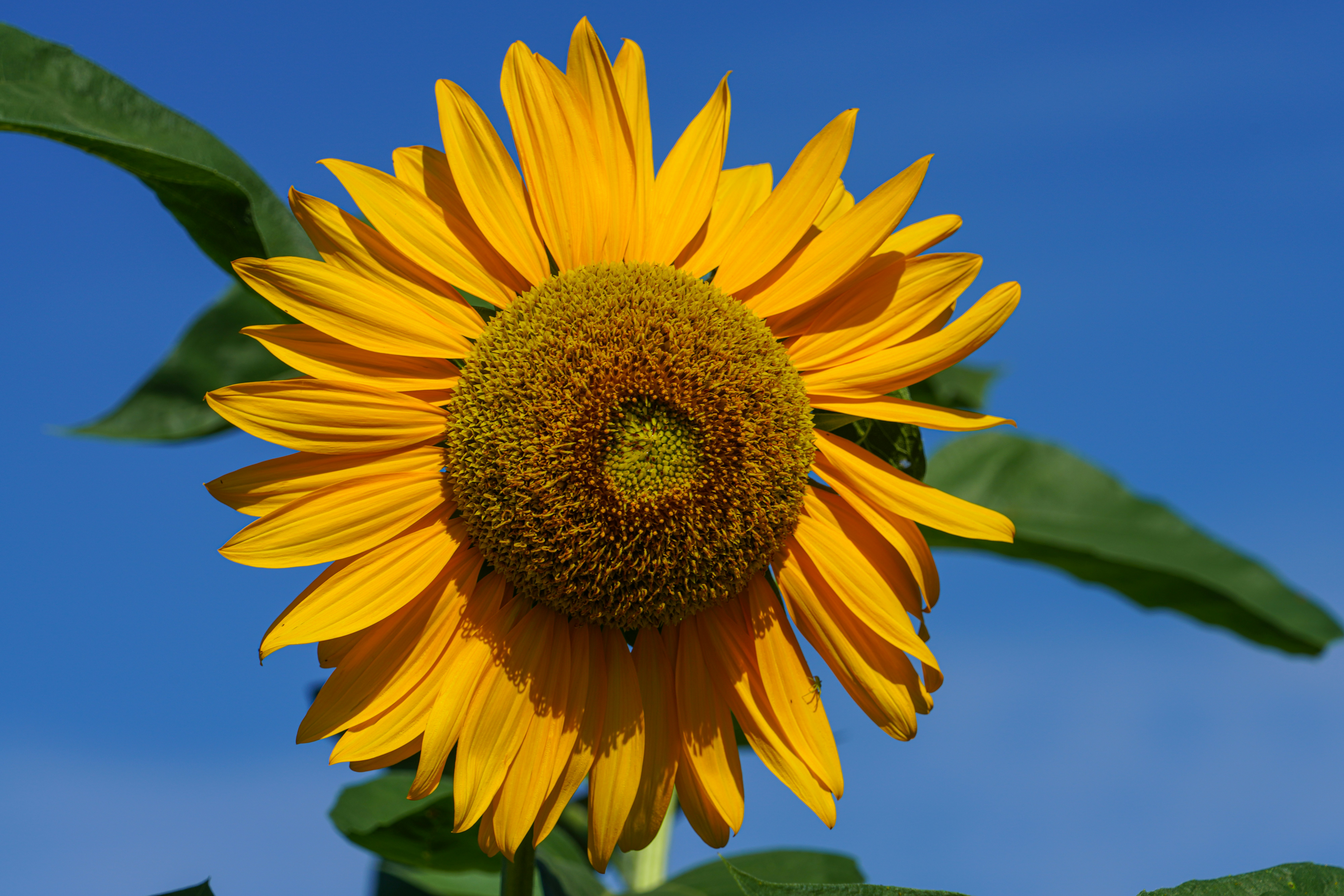 Photo by kim_dae_jeung