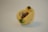 A close-up of a small pastry or dessert filled with a dark, possibly chocolate filling. It is wrapped in a light-colored dough, with green toppings at two corners, likely pistachios.