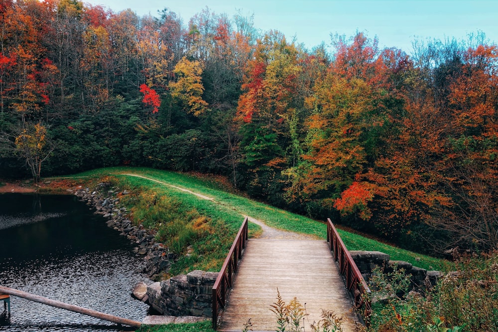 a wooden bridge over a body of water surrounded by trees