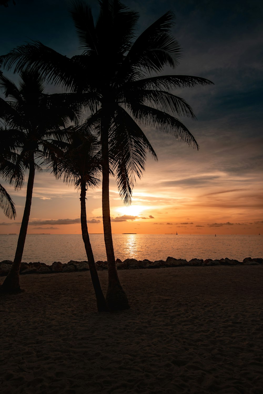 a couple of palm trees sitting on top of a beach