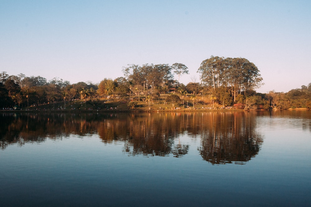 a large body of water surrounded by trees