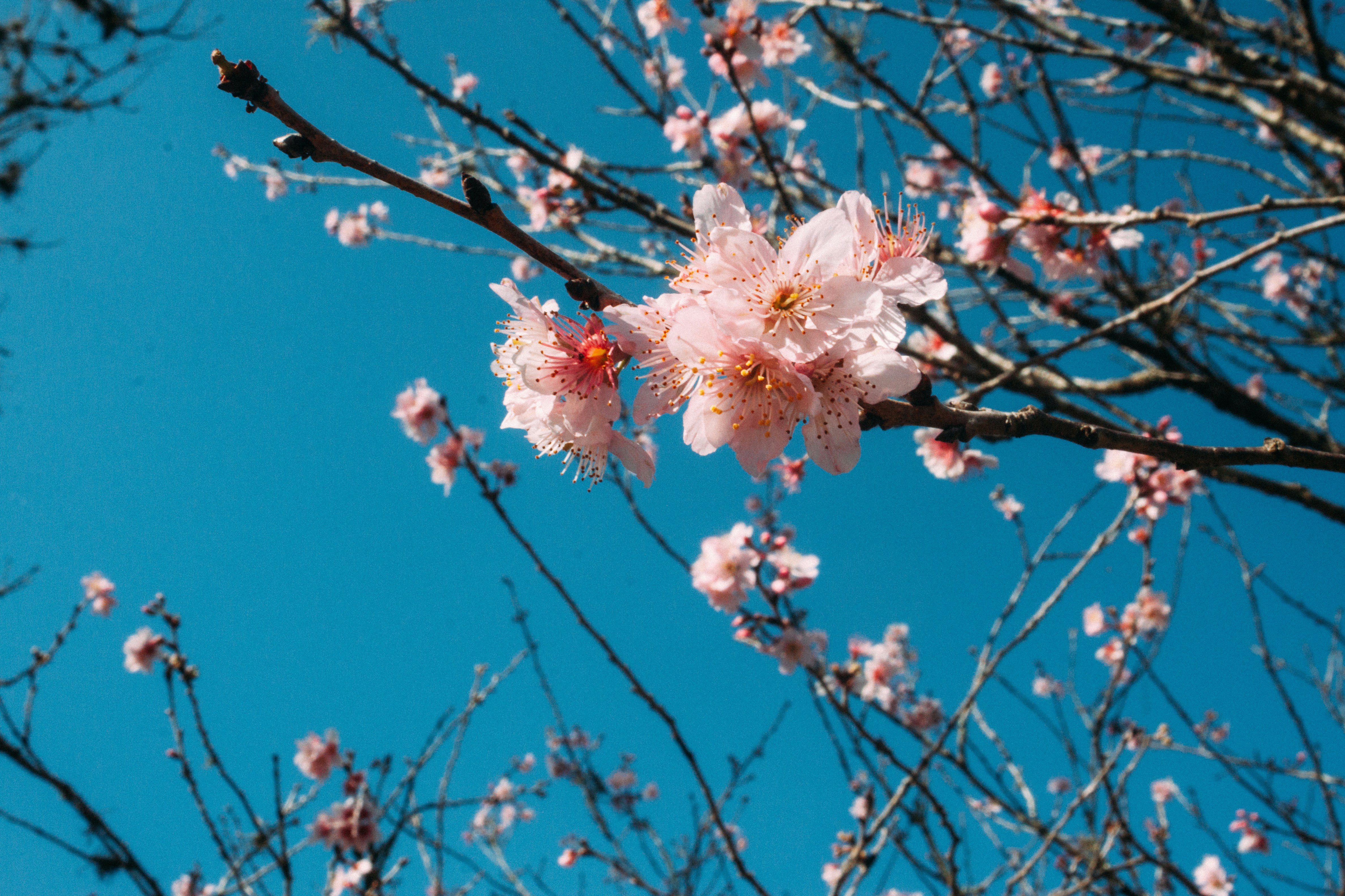 Photo by odineiramone