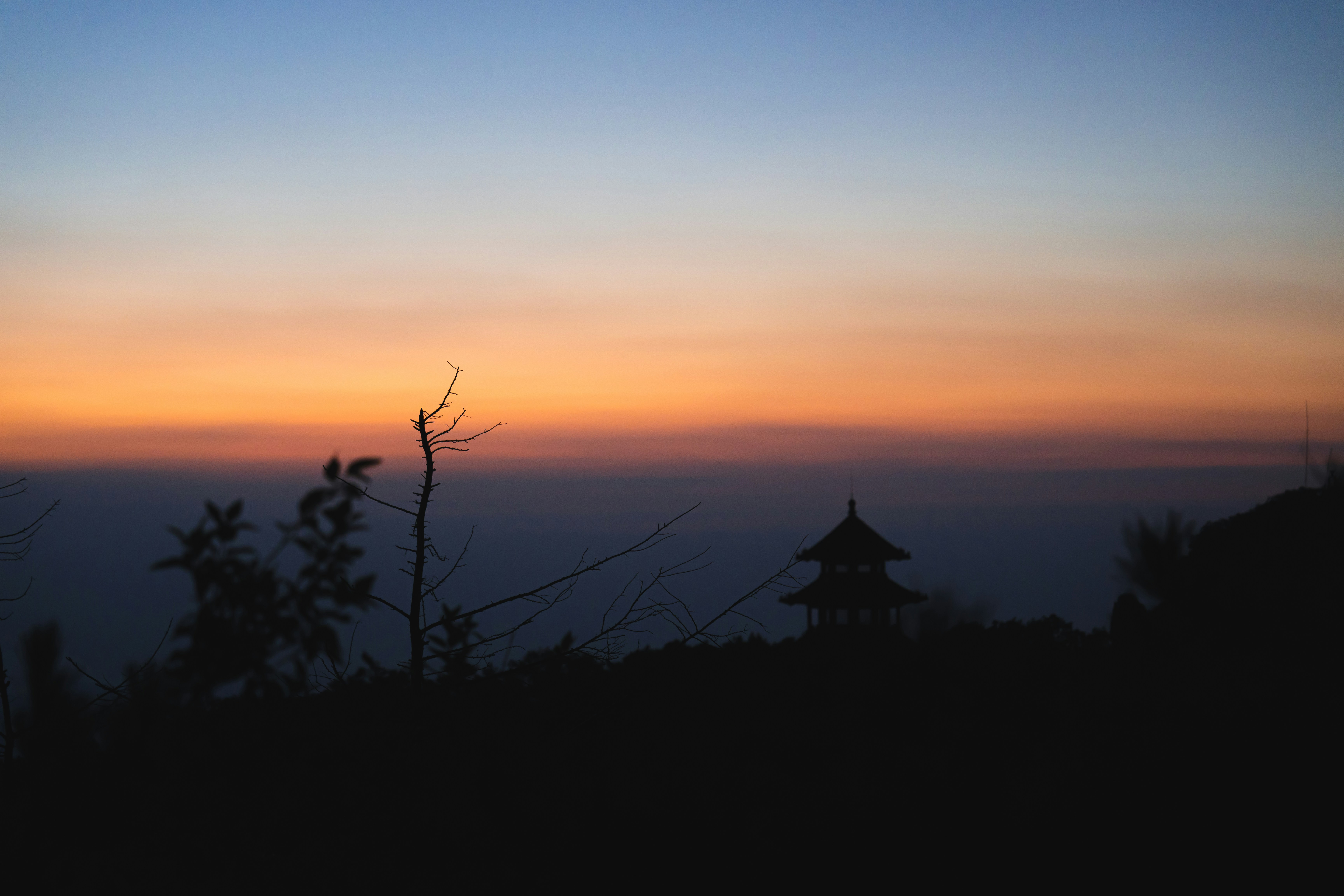 Mount Fuji View Camp