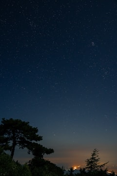 Black and white sketch of a night landscape with glowing stars overhead.