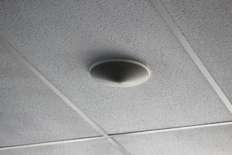 A ceiling with acoustic tiles arranged in a grid pattern and a round speaker or smoke detector mounted in the center of one tile.