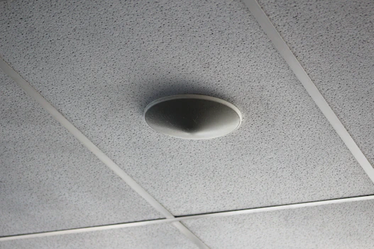 A ceiling with acoustic tiles arranged in a grid pattern and a round speaker or smoke detector mounted in the center of one tile.