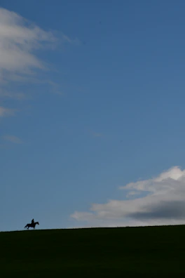 A silhouette of a cowboy on horseback against a vast desert sky, with distant mountains.
