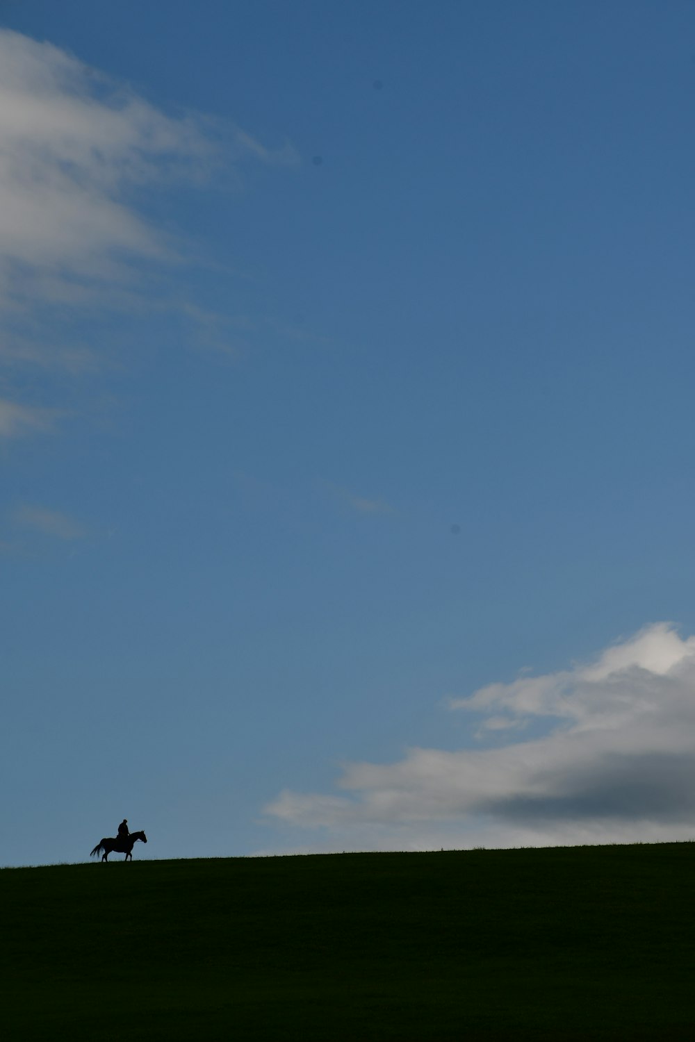 uma pessoa montando um cavalo em uma colina gramada