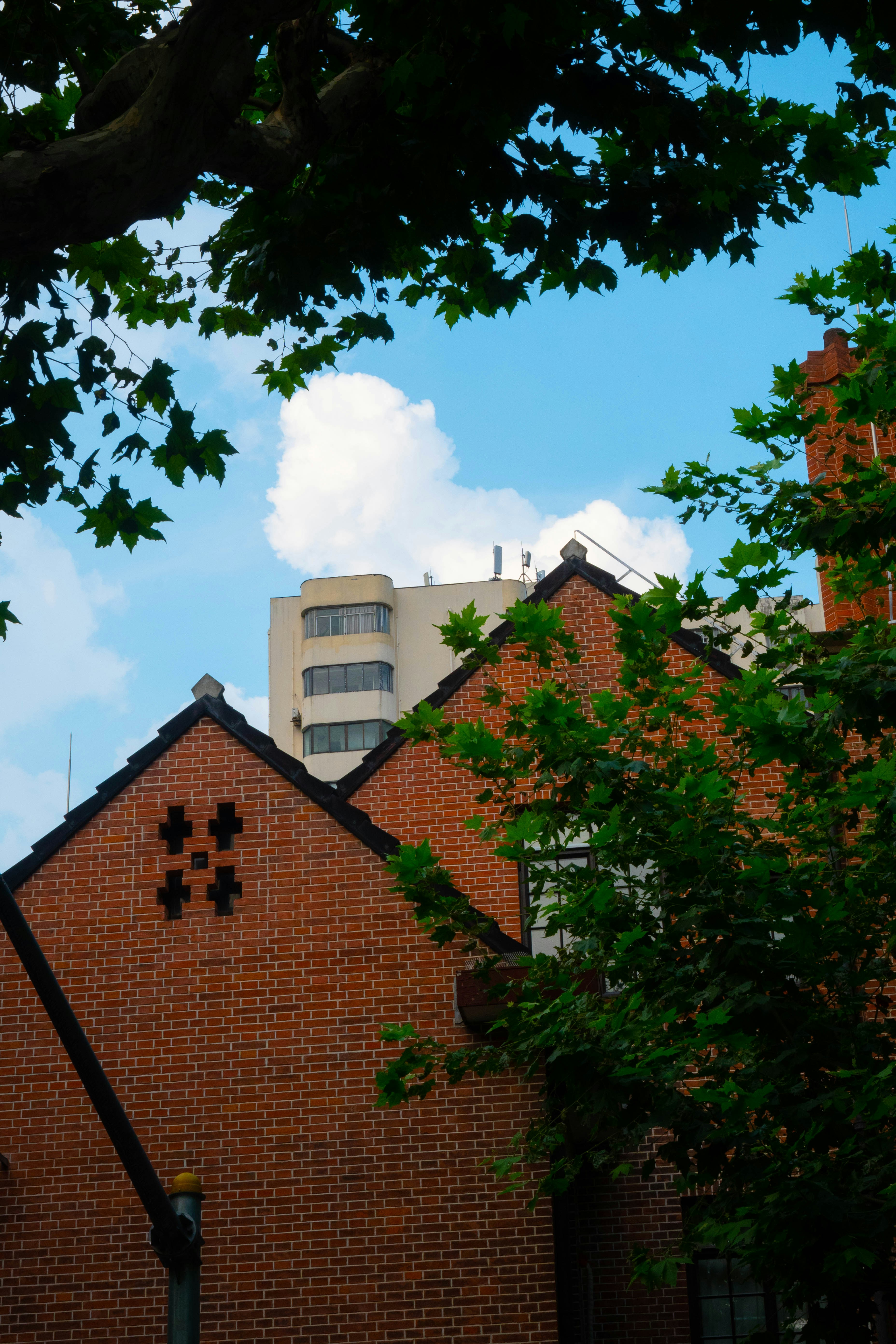 Photo by mocun