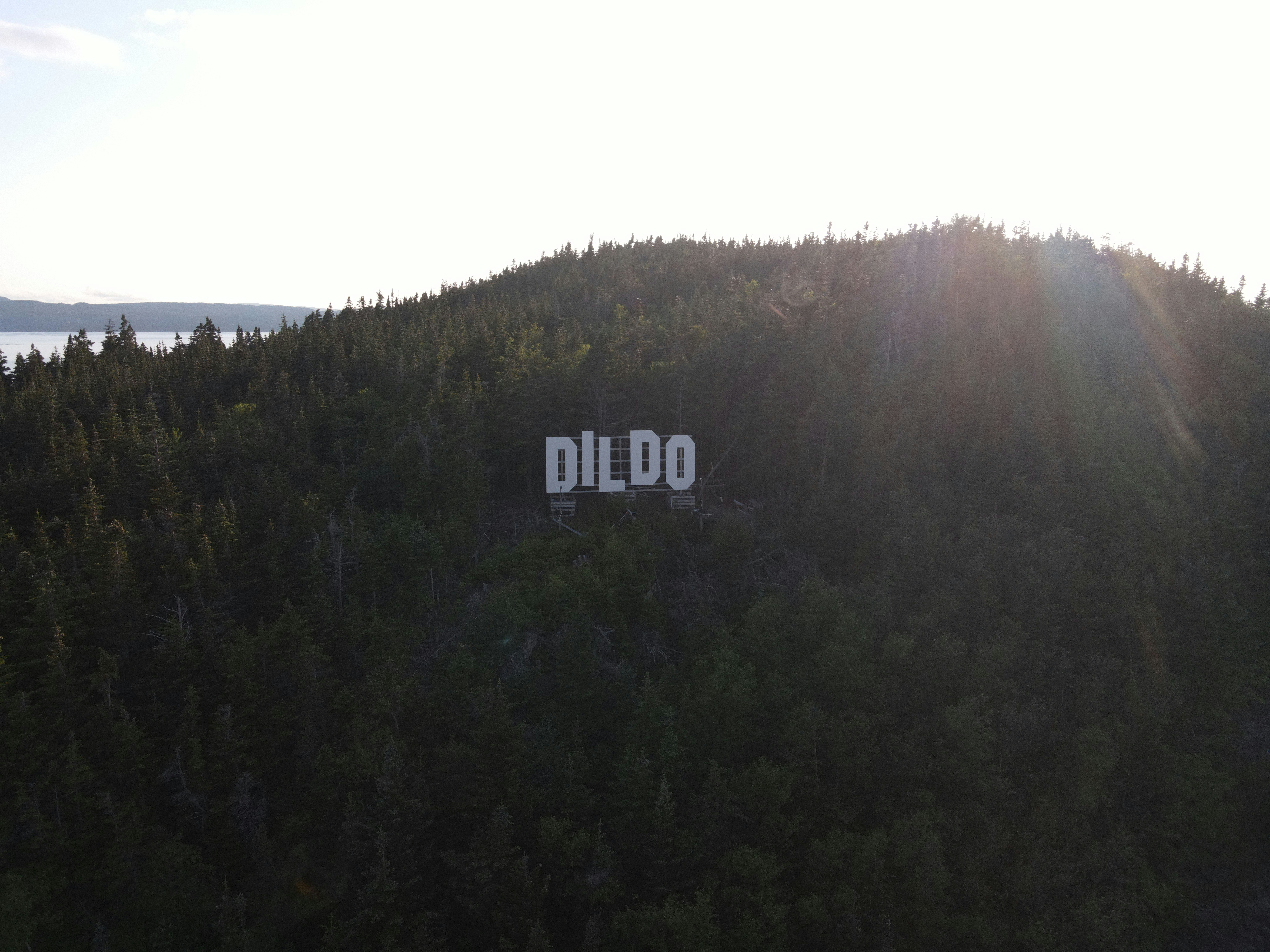 Dildo Sign on a hill