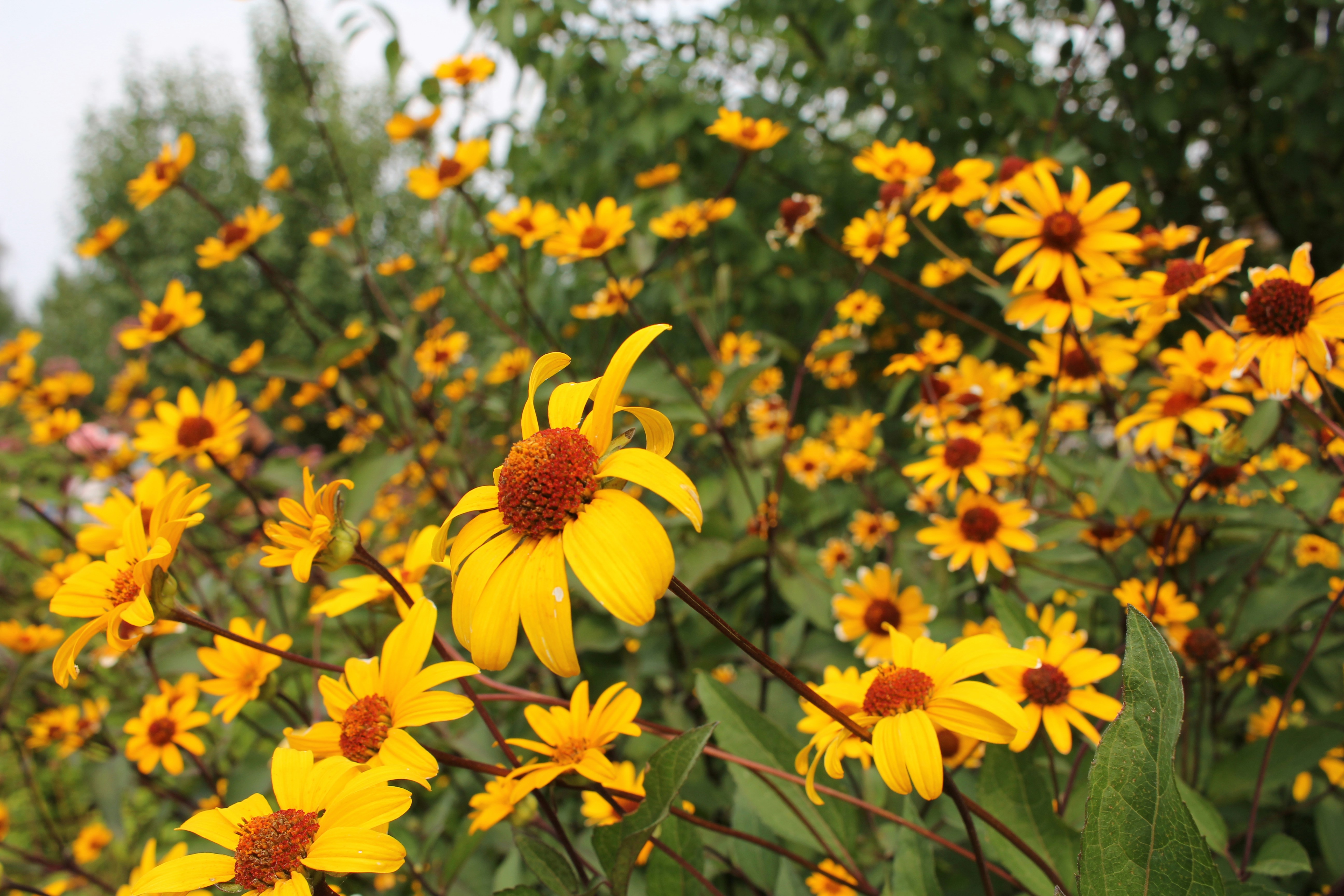 Photo by jefersoncabal7