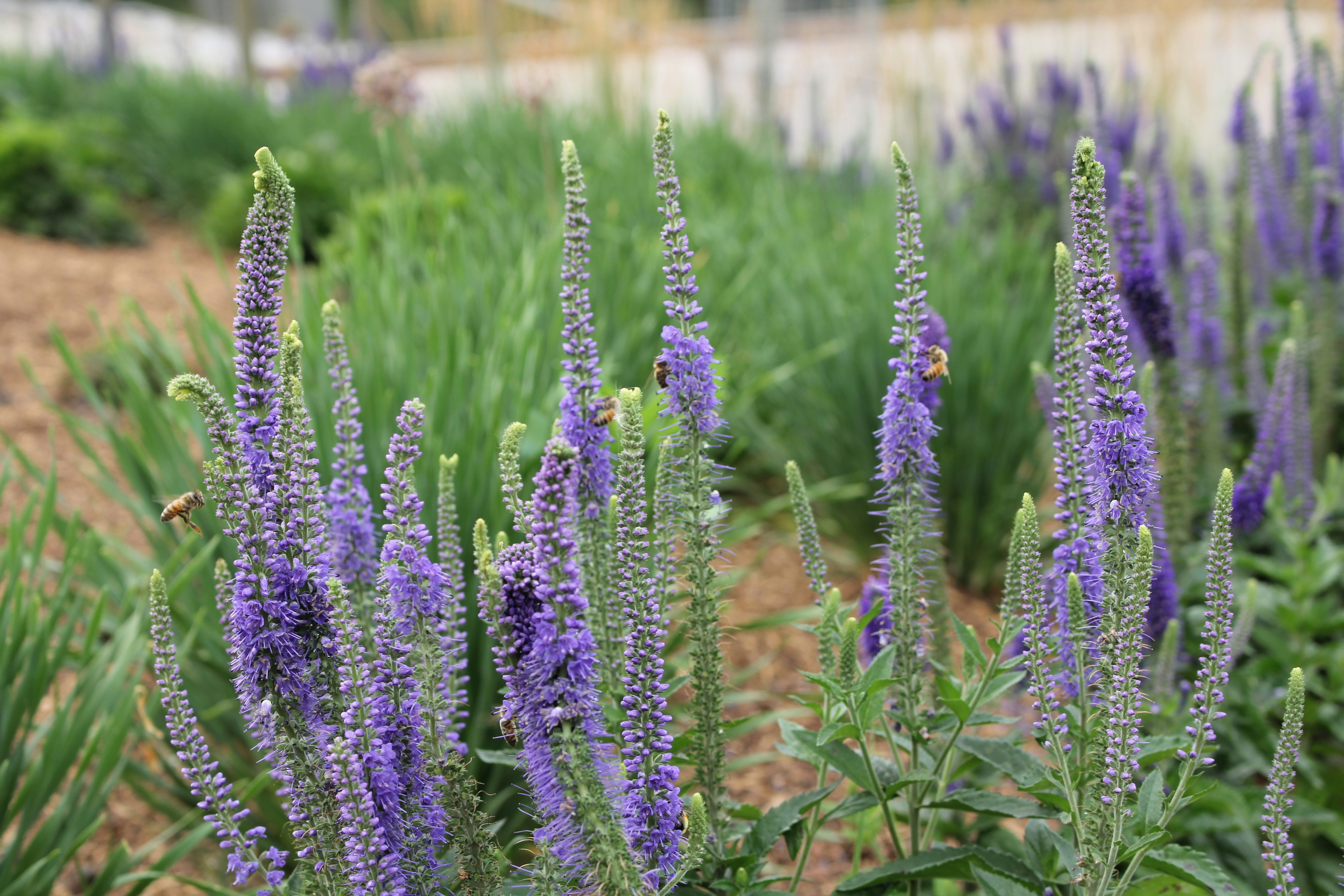 Photo by jefersoncabal7