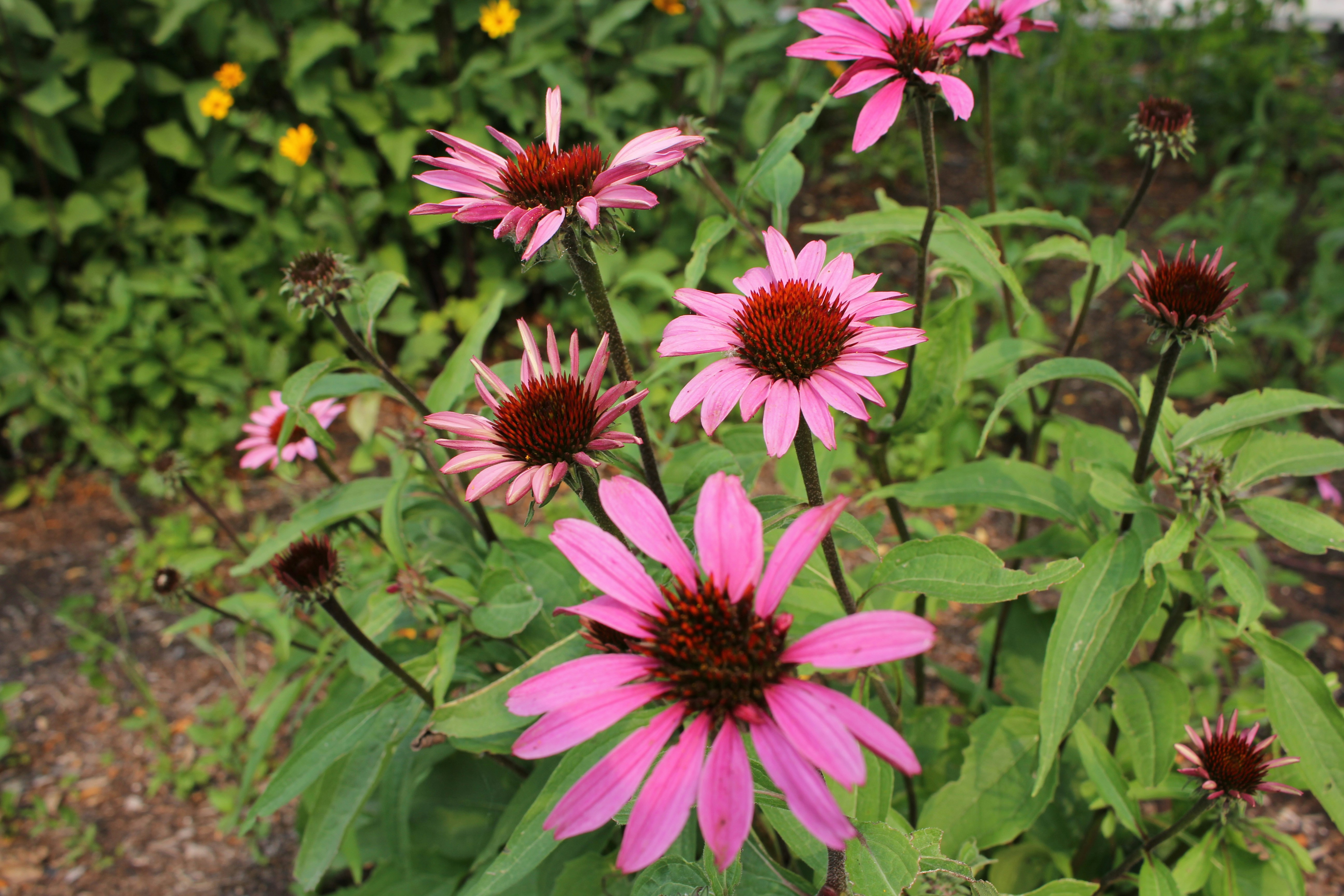 Photo by jefersoncabal7