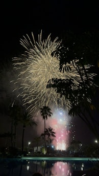 Vibrant crowd celebrating New Year's Eve with fireworks over Fortaleza beach.