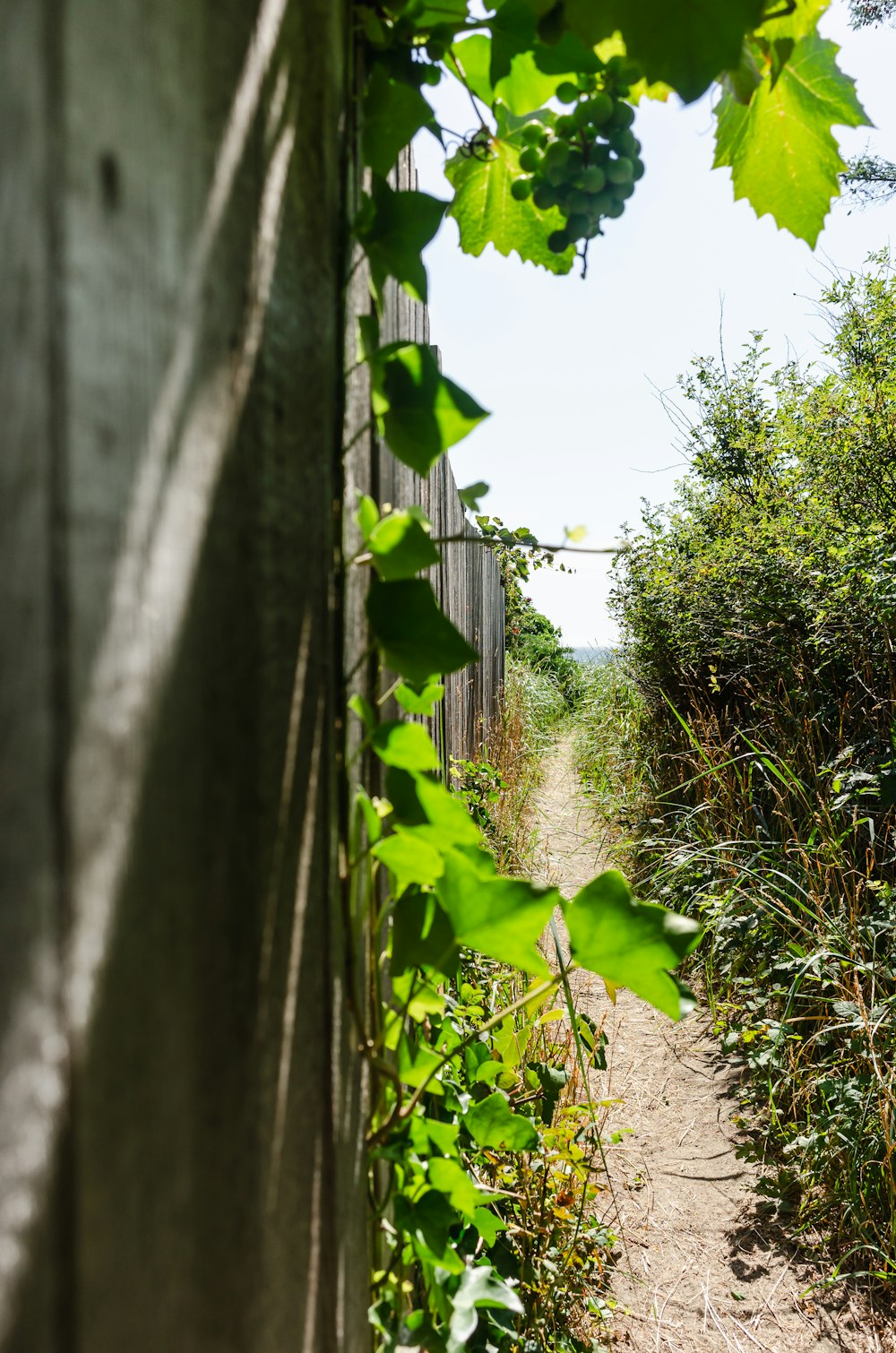 a dirt path that is next to a fence