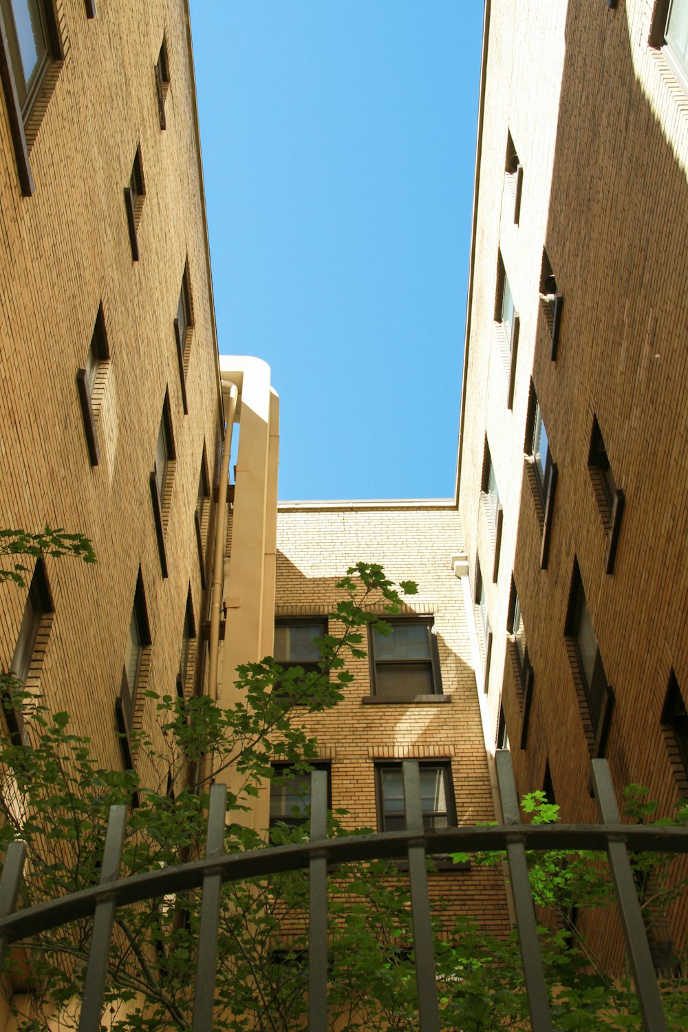 looking up at the sky from between two buildings