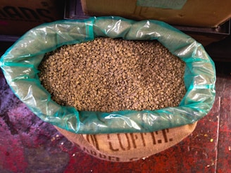 A burlap sack filled with raw, unroasted coffee beans is lined with a green plastic bag. It is placed on a worn, red-spattered concrete floor, surrounded by other boxes and containers in a storage area.