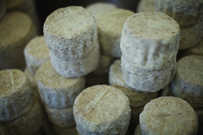 Understanding Moulded-Fiber Manufacturing: A Modern Approach to Sustainability