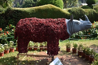 A rhinoceros sculpture stands in a garden, covered with red flowers, giving it a unique texture. Its head and legs appear to be made from a smooth, grey material, contrasting with the vibrant floral body. The setting is lush with greenery, including hedges and potted plants.