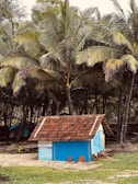 The rustic exterior of La Posada del Pescador surrounded by palm trees.