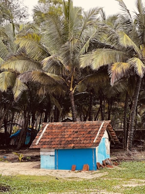 The rustic exterior of La Posada del Pescador surrounded by palm trees.