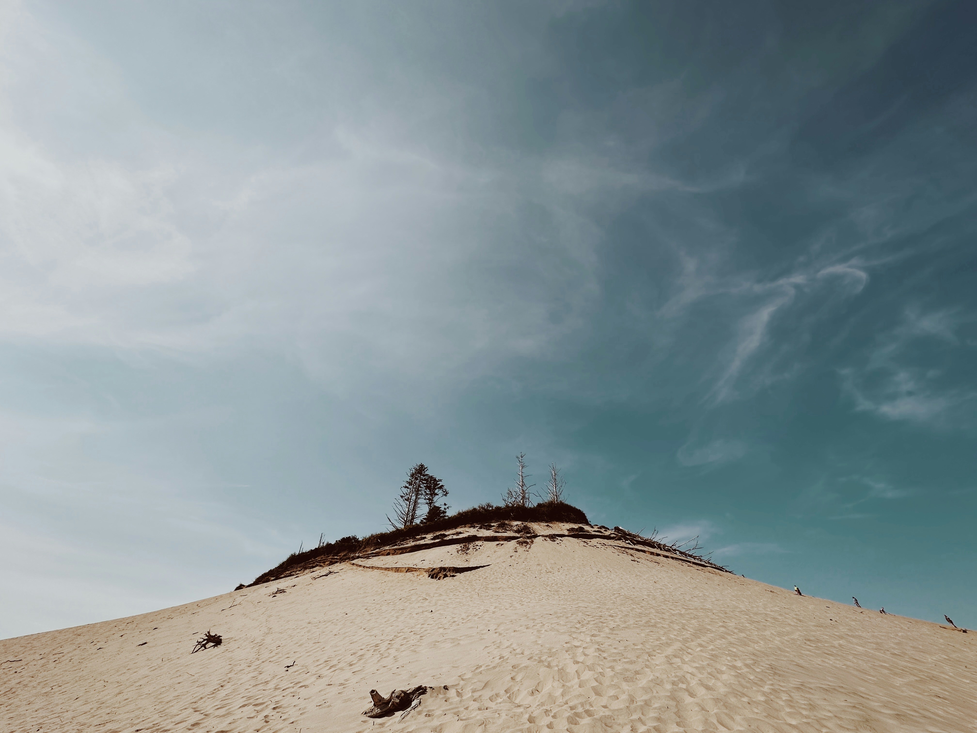 Photo by nickdepartee