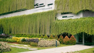A modern building facade adorned with lush hanging greenery covering the walls, set against a background of meticulously landscaped gardens with various shrubs and bushes. The pathway is made of white stone slabs embedded in the green lawn.