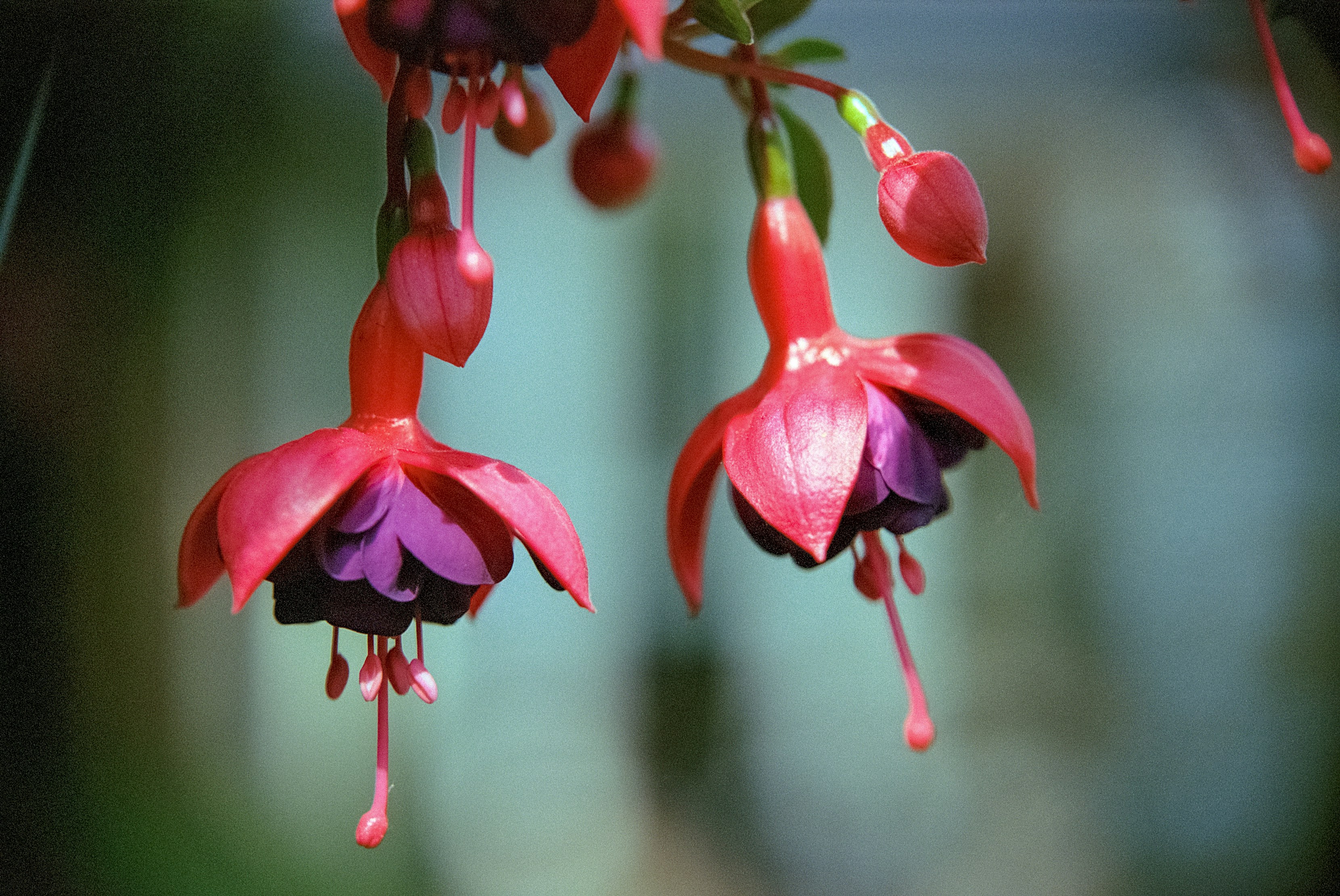 Photo by artistseyes