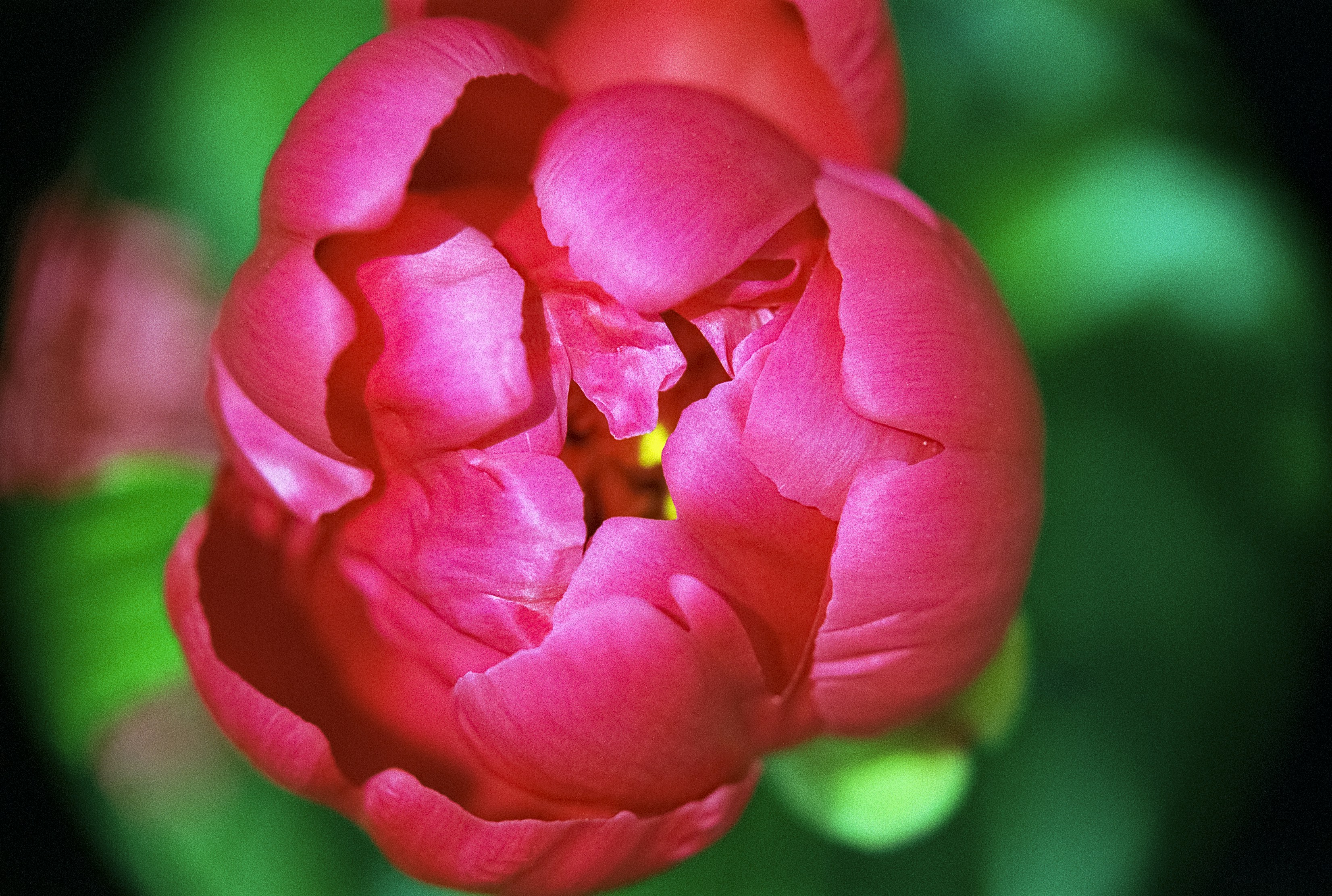 Photo by artistseyes