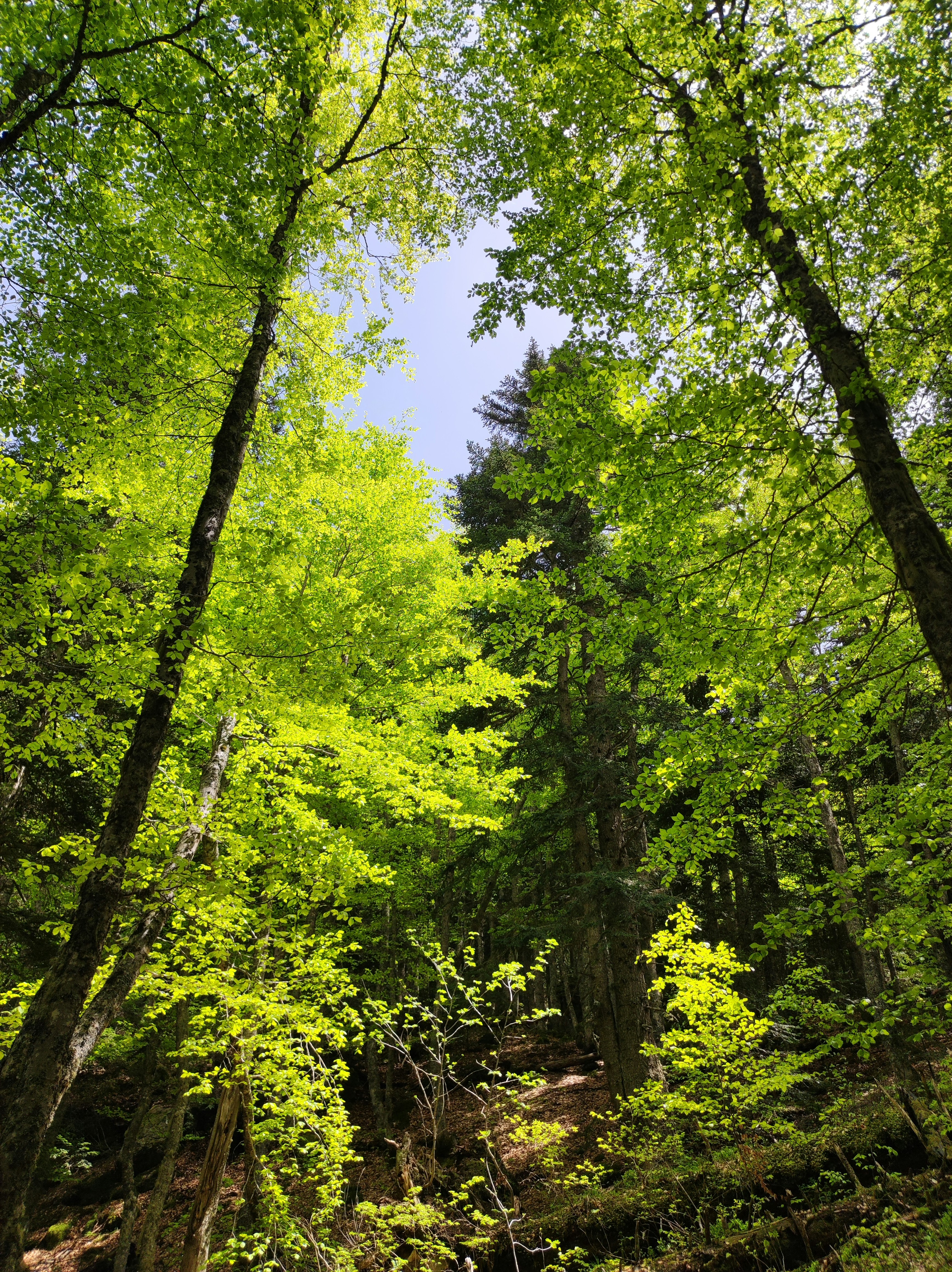 Photo by nicolas_barbault