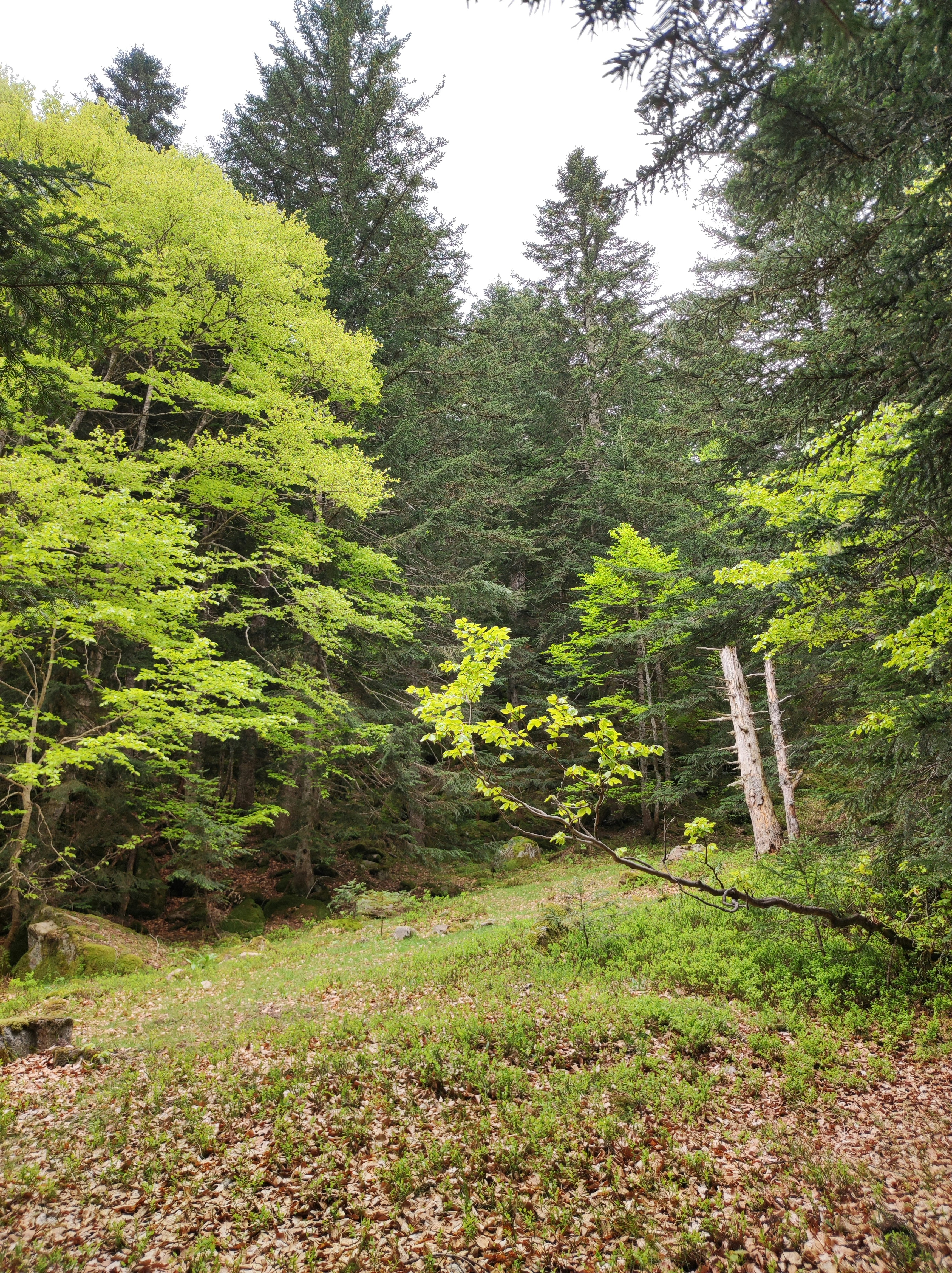 Photo by nicolas_barbault