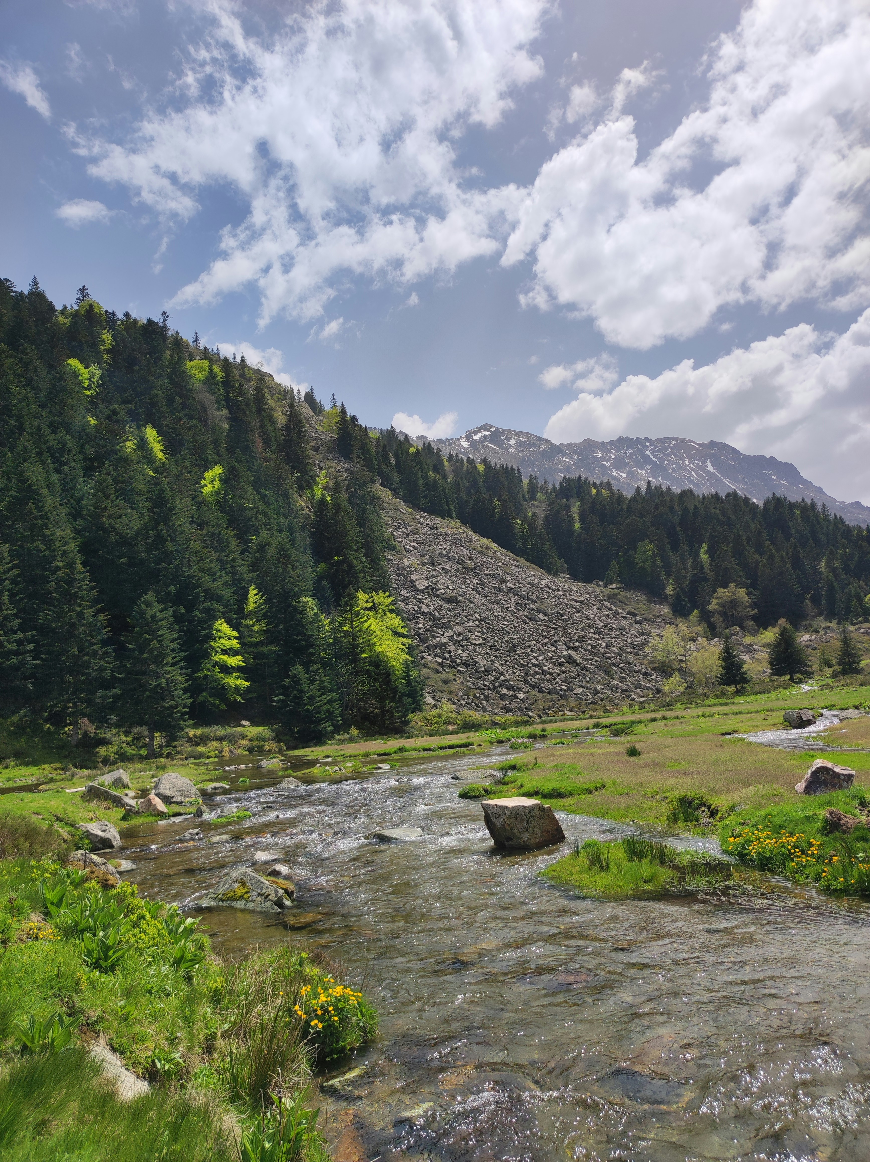 Photo by nicolas_barbault