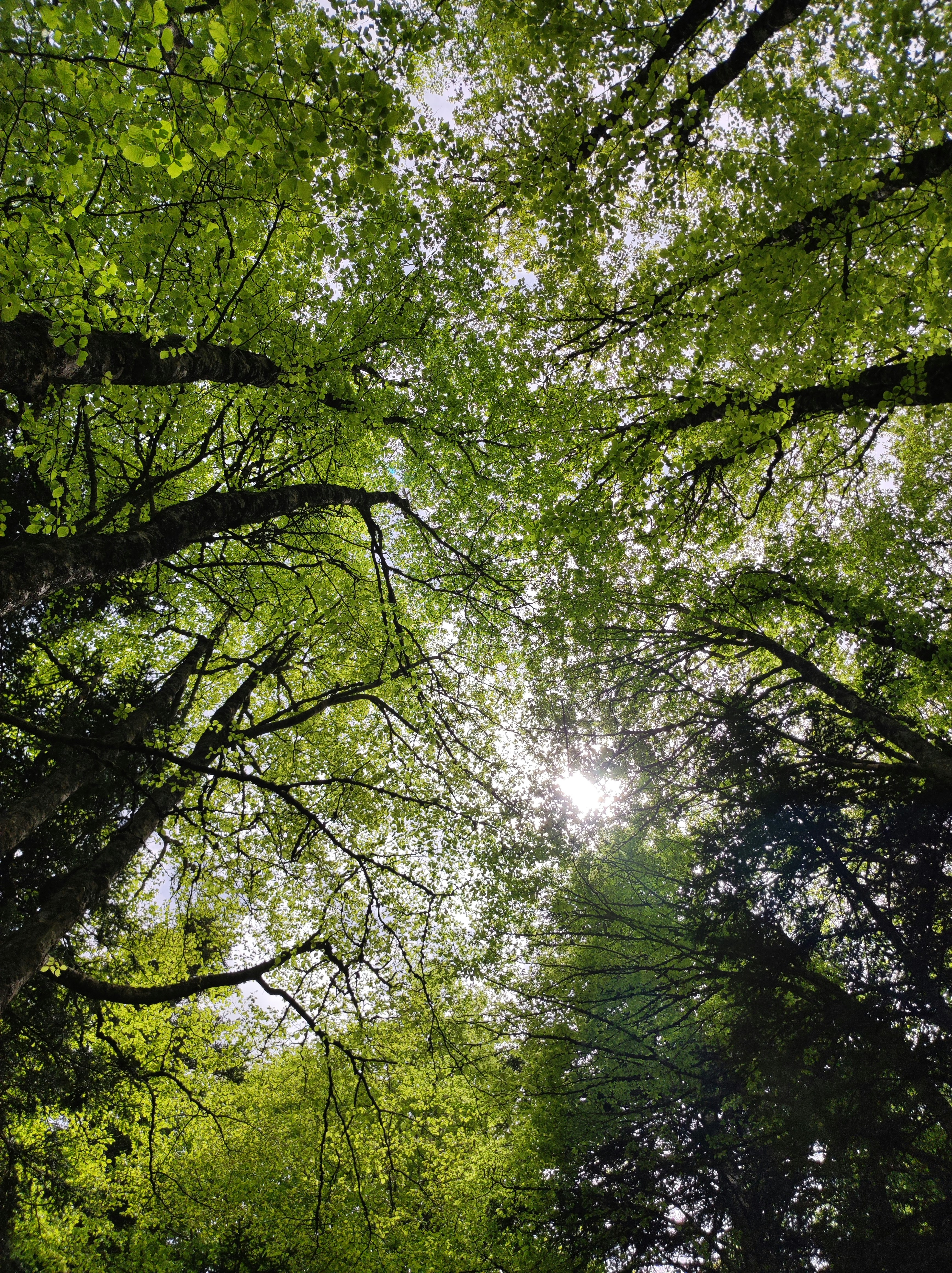 Photo by nicolas_barbault