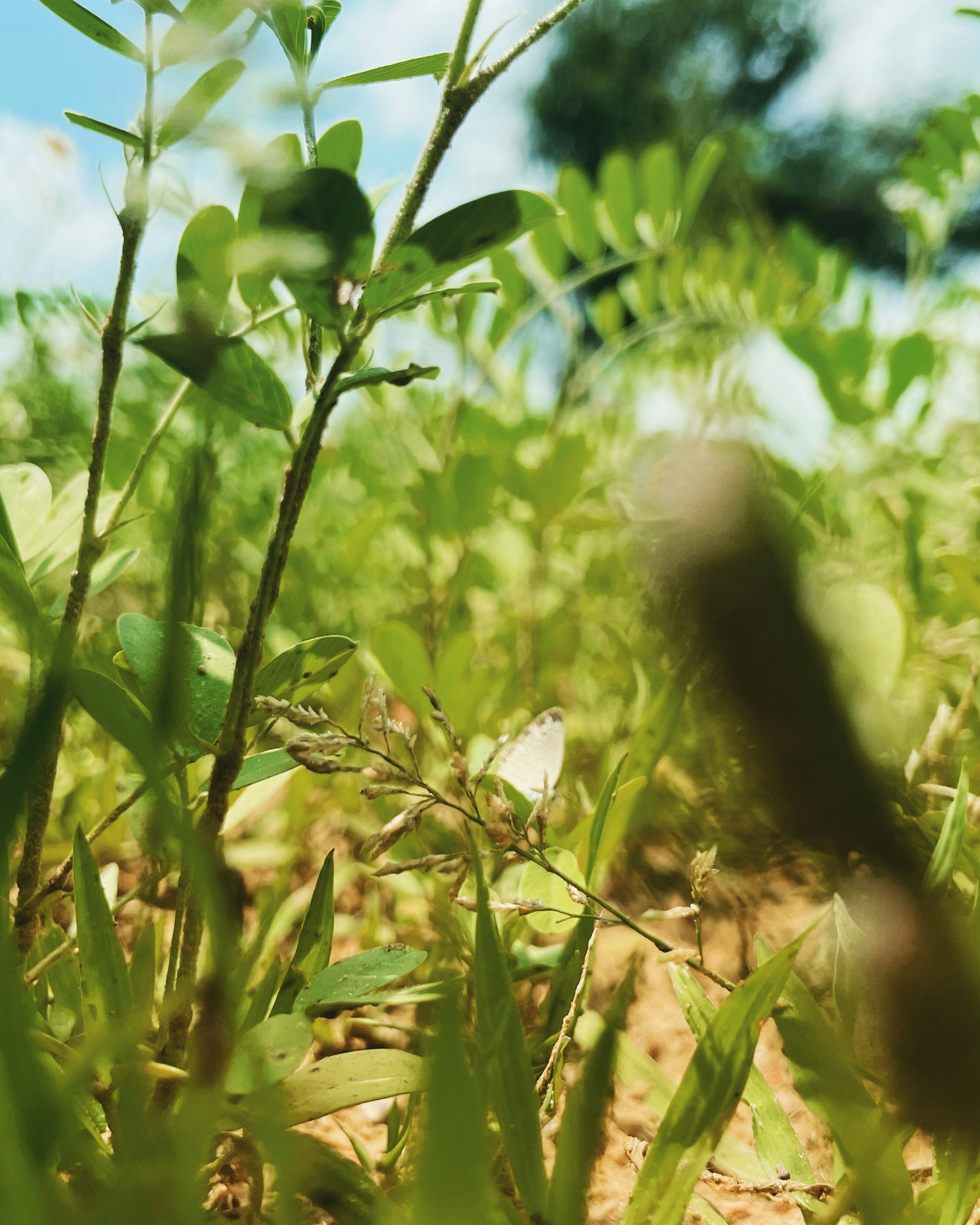 Photo by vikashsparxit