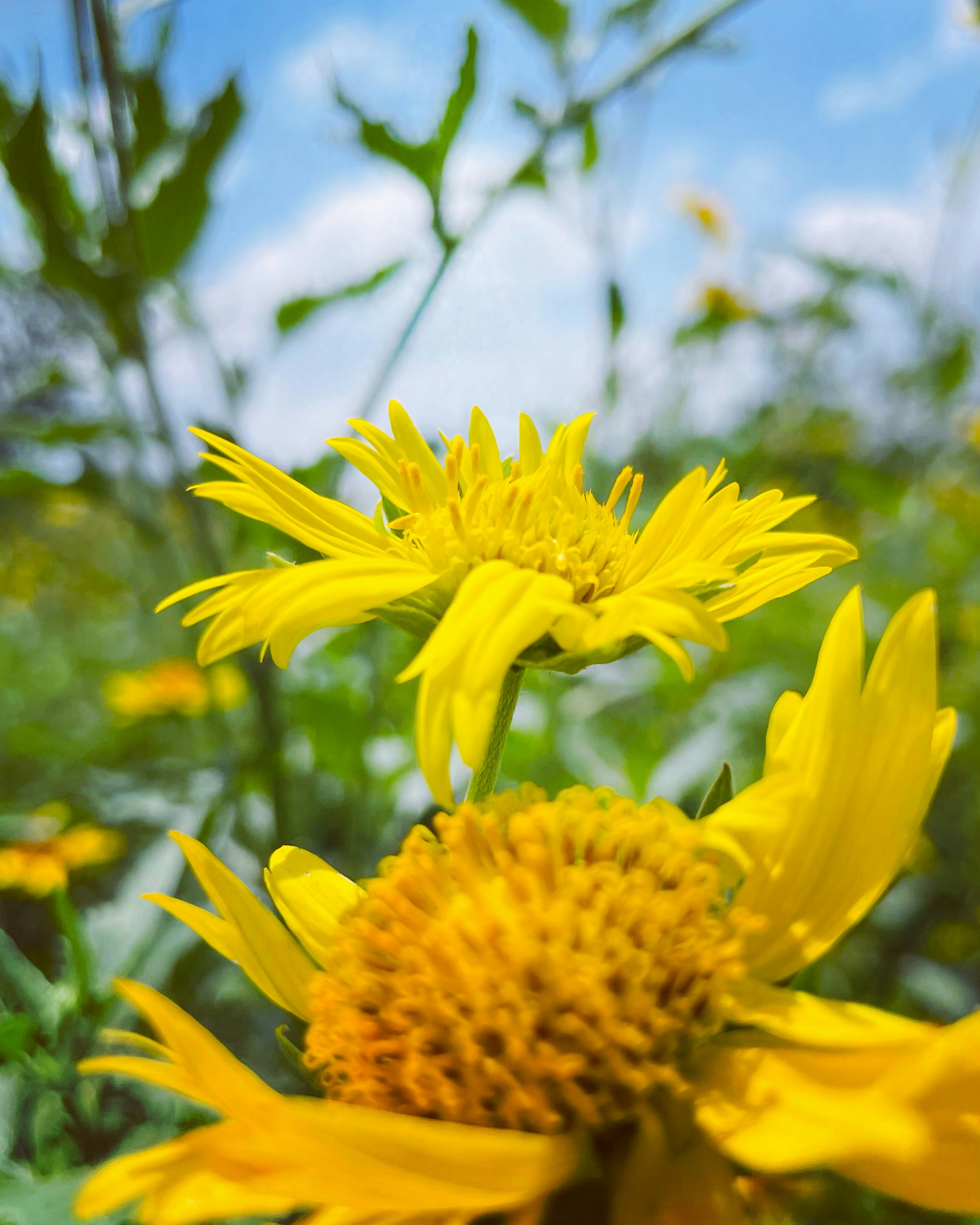 Photo by vikashsparxit