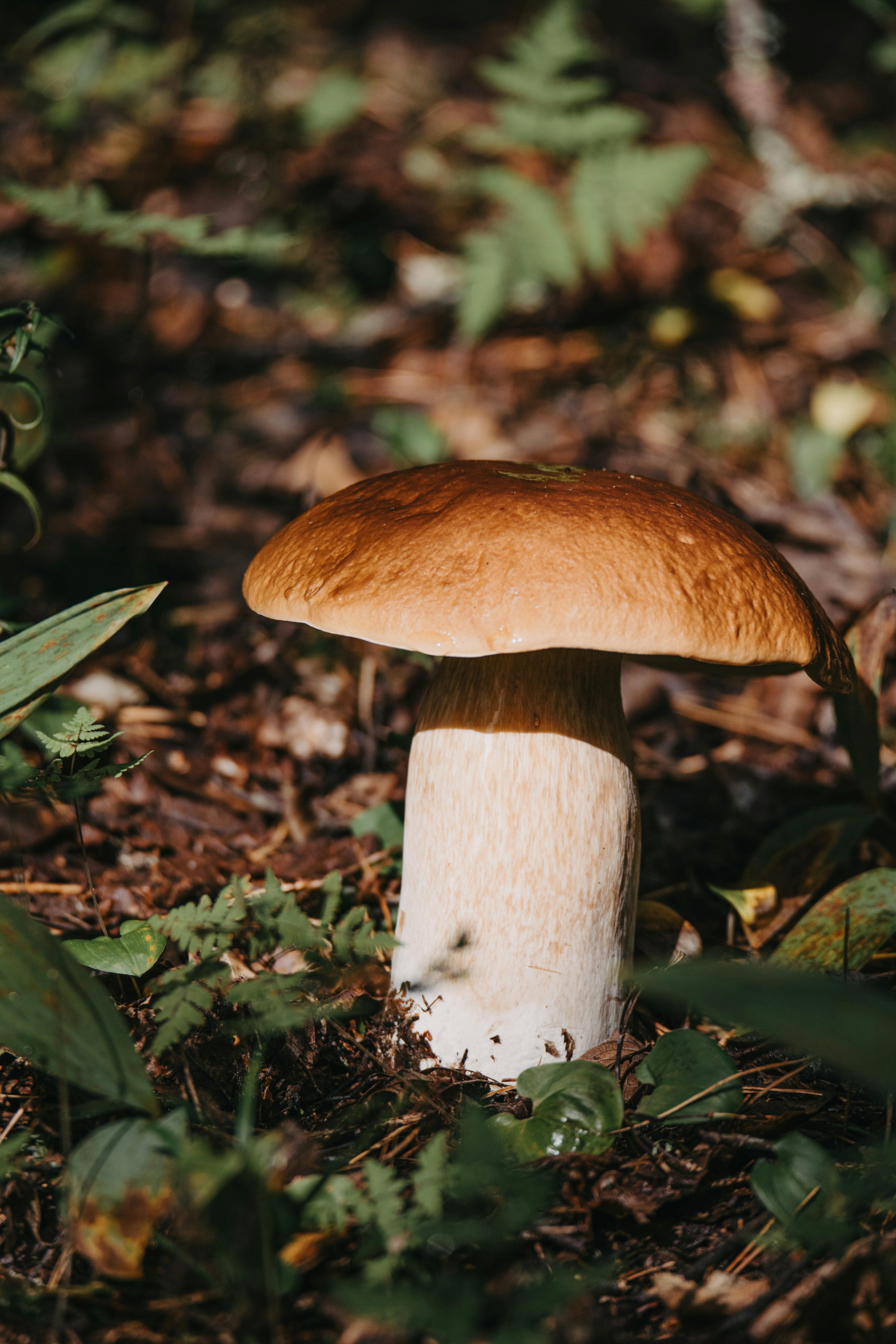 Photo by anitaaustvika