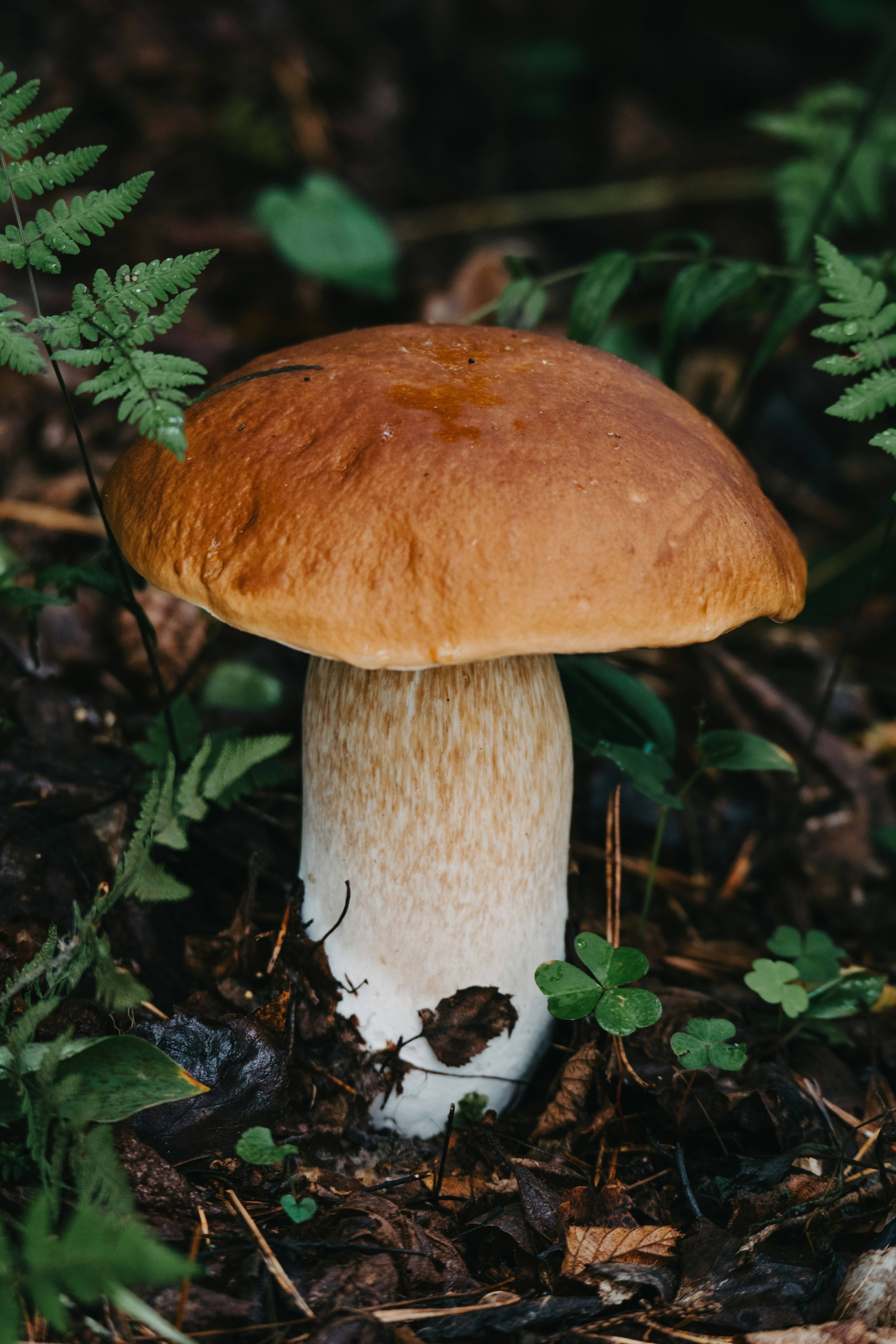 Photo by anitaaustvika