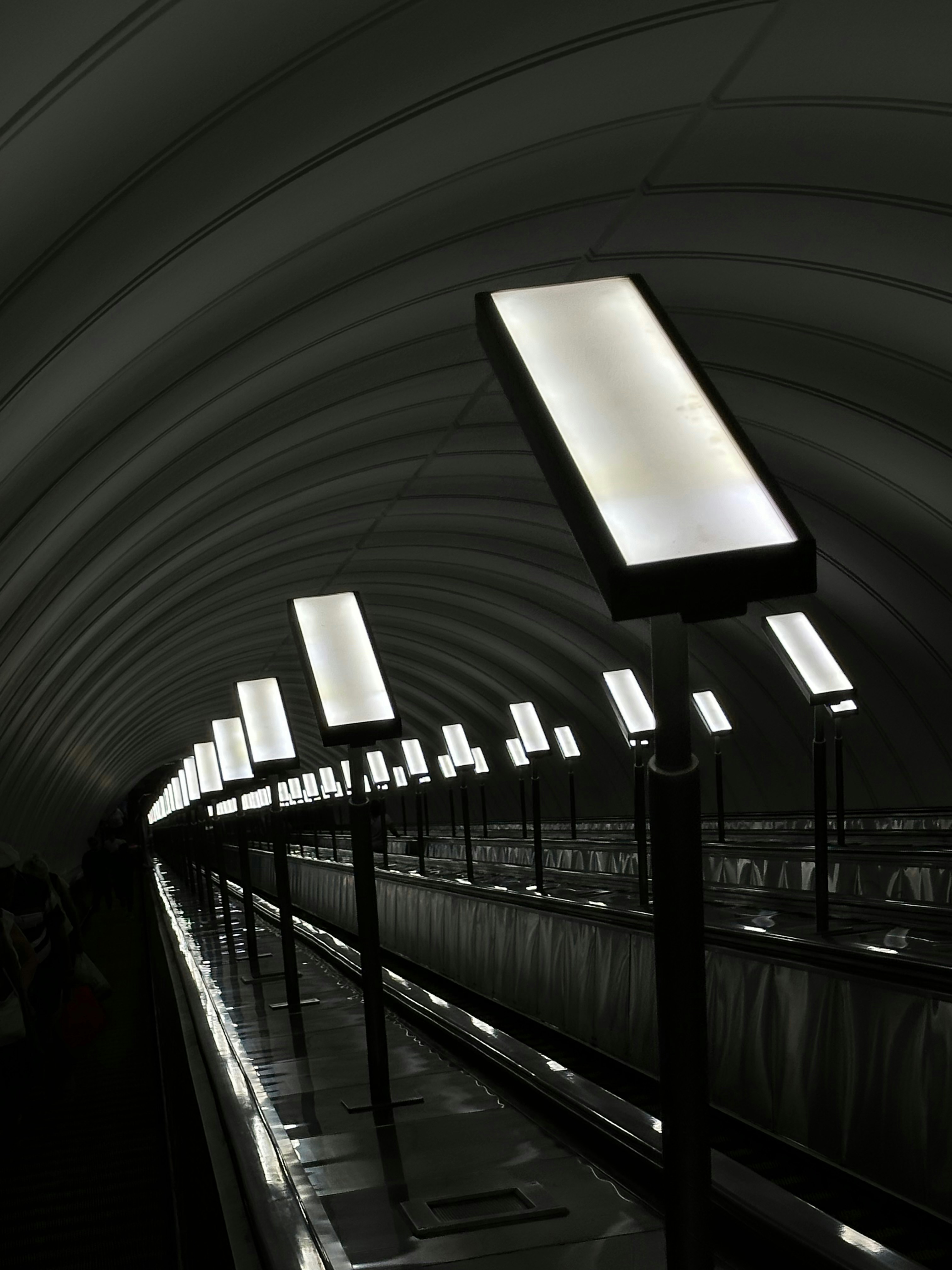 Photo by lostillusion