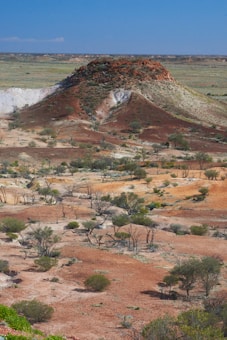 A landscape featuring a hill covered with sparse vegetation, surrounded by a semi-arid terrain with scattered trees and patches of green. The ground shows variations in soil color, ranging from reddish-brown to light tan, amidst patches of greenery. The sky above is clear and blue, providing a stark contrast to the earthy tones below.