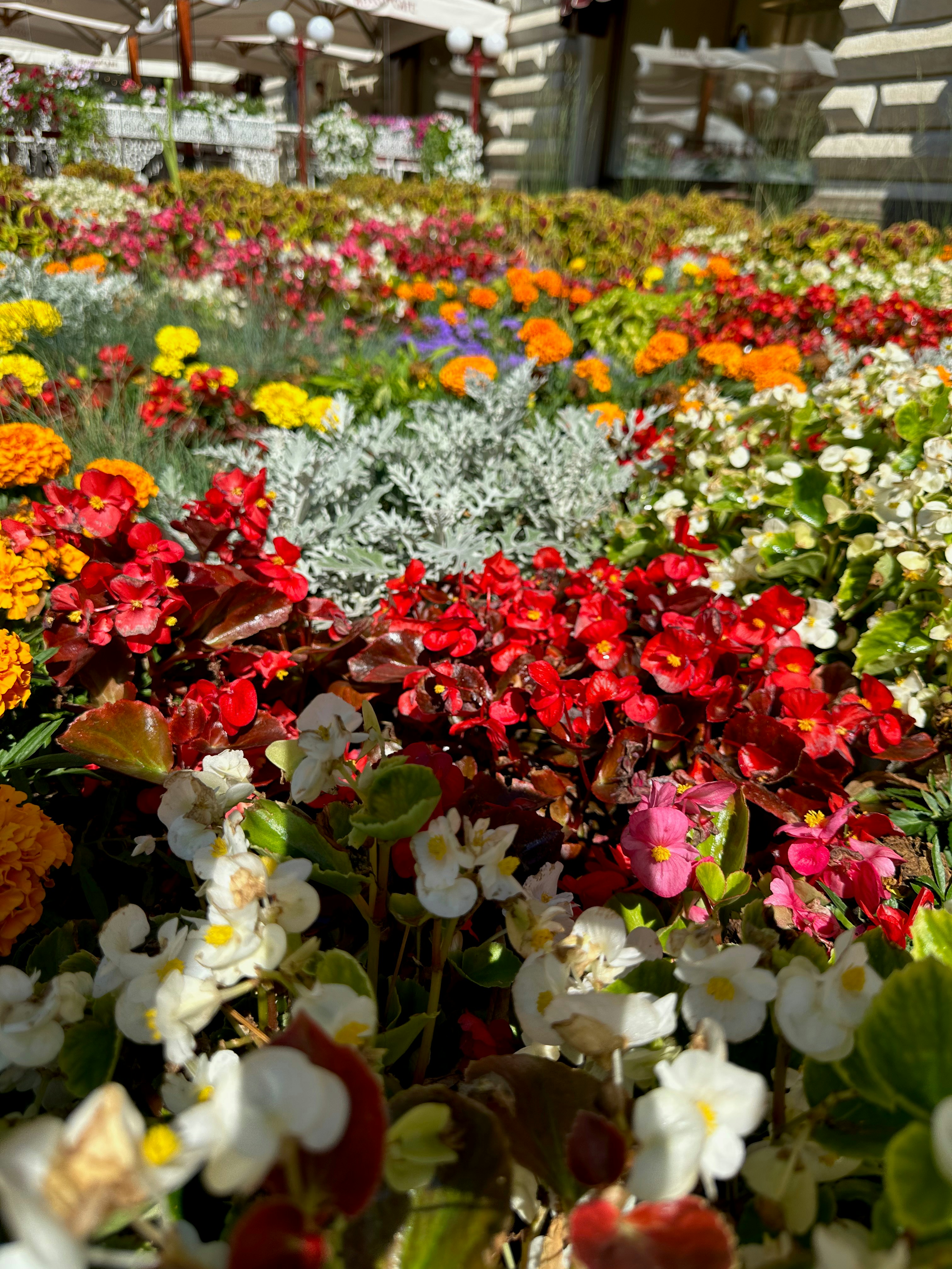 Photo by lostillusion