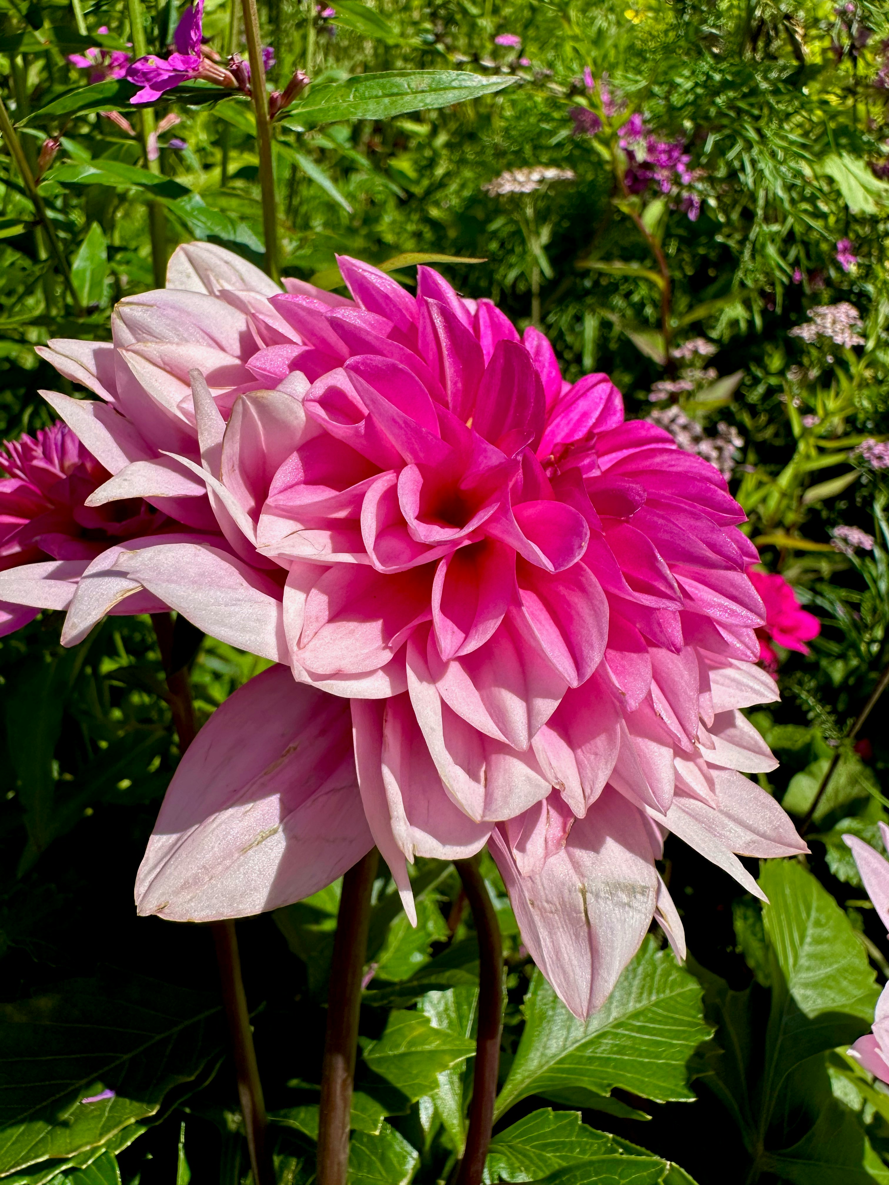 Photo by lostillusion