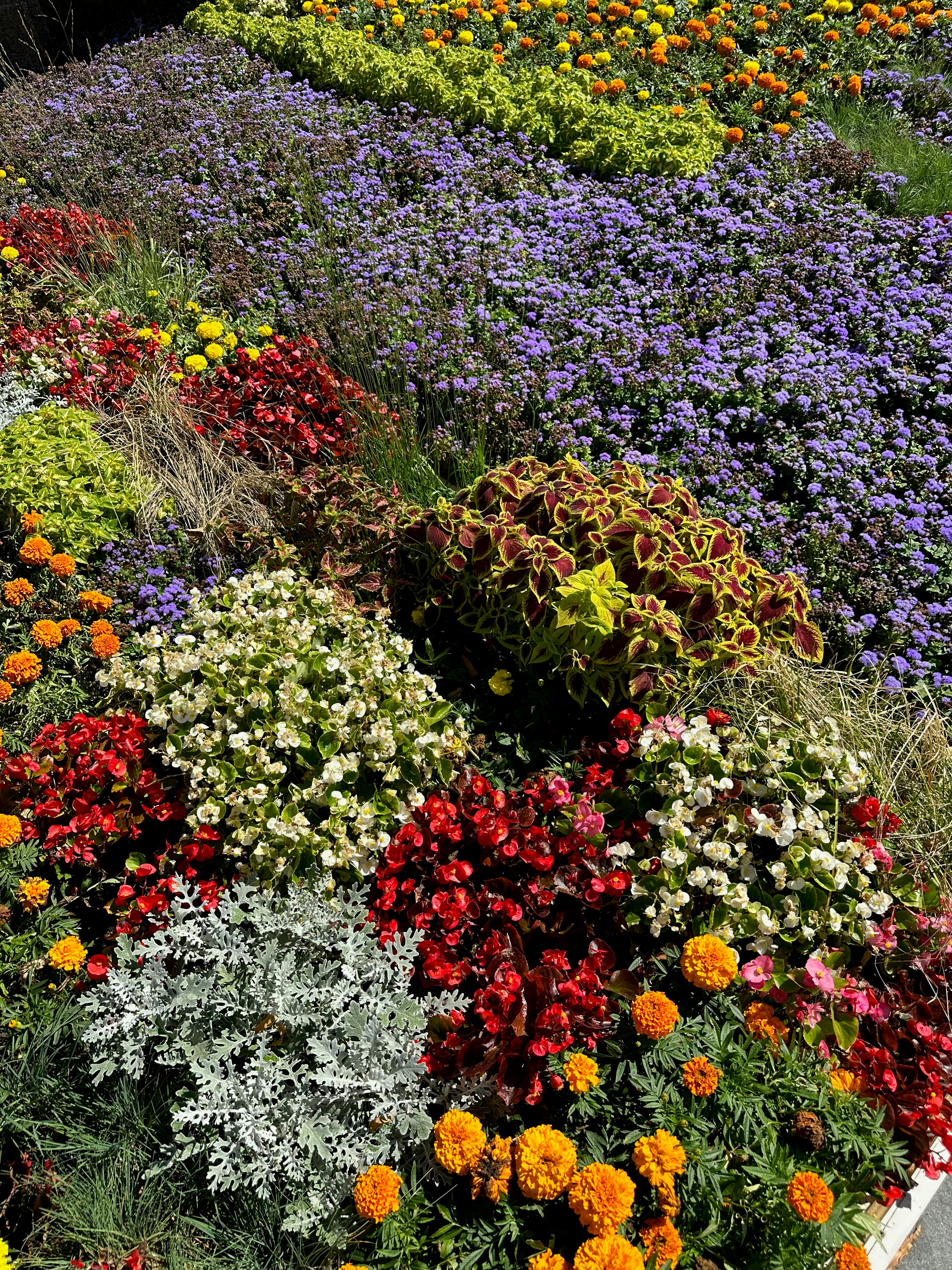 Photo by lostillusion